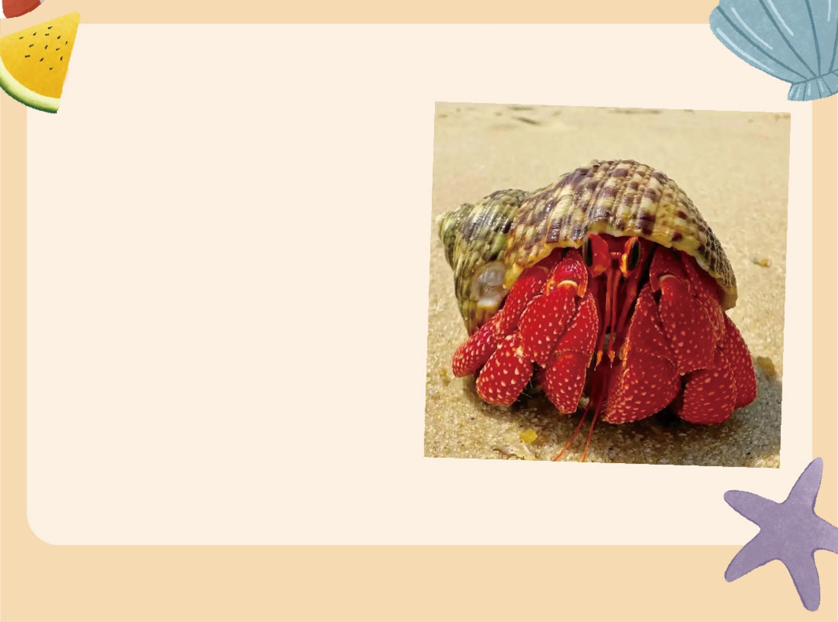 Einsiedlerkrebs Birnenmodell Kreative Figur 