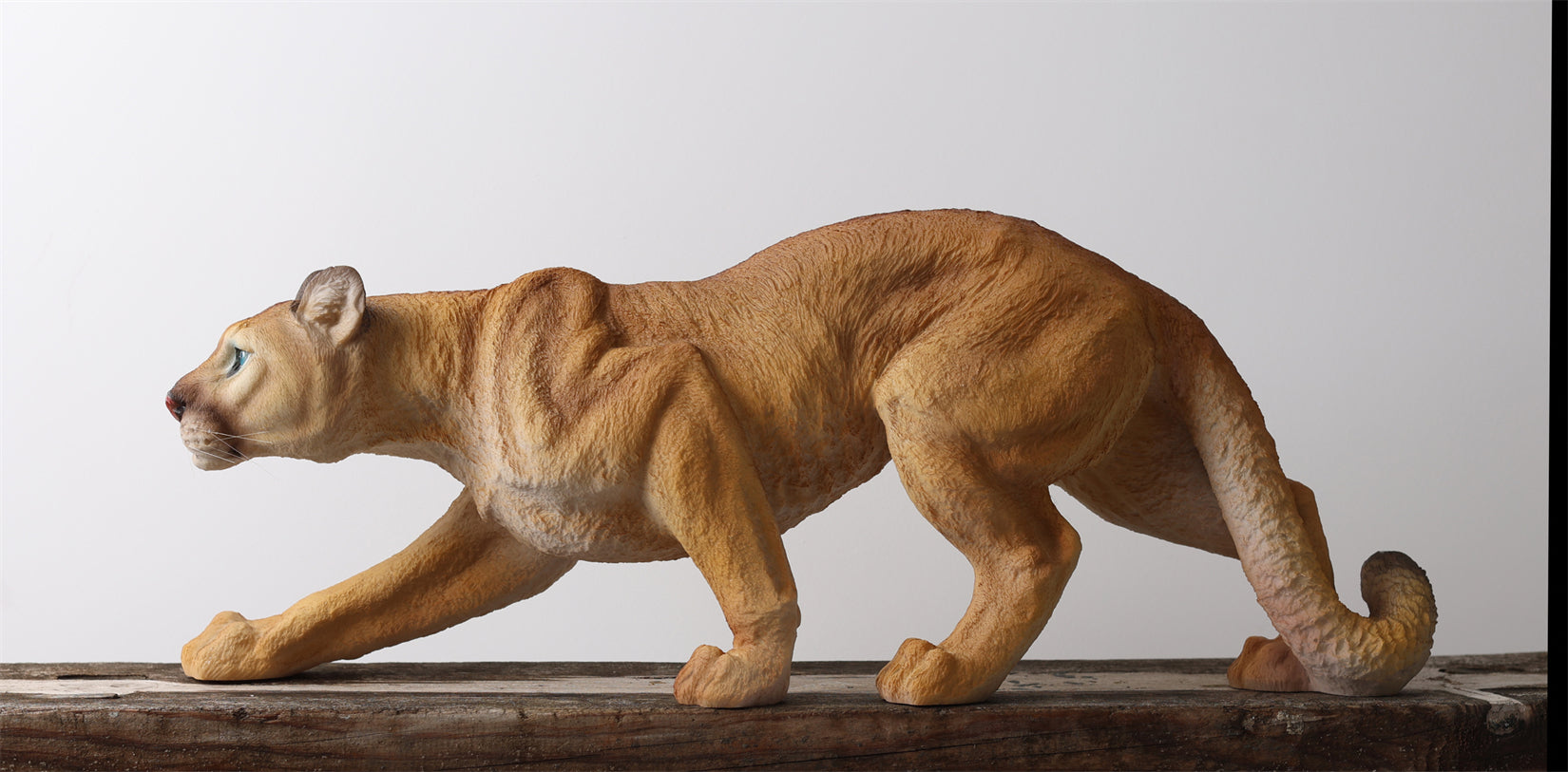 BOWUZHI Studio  1:6 Scale Cougar Model