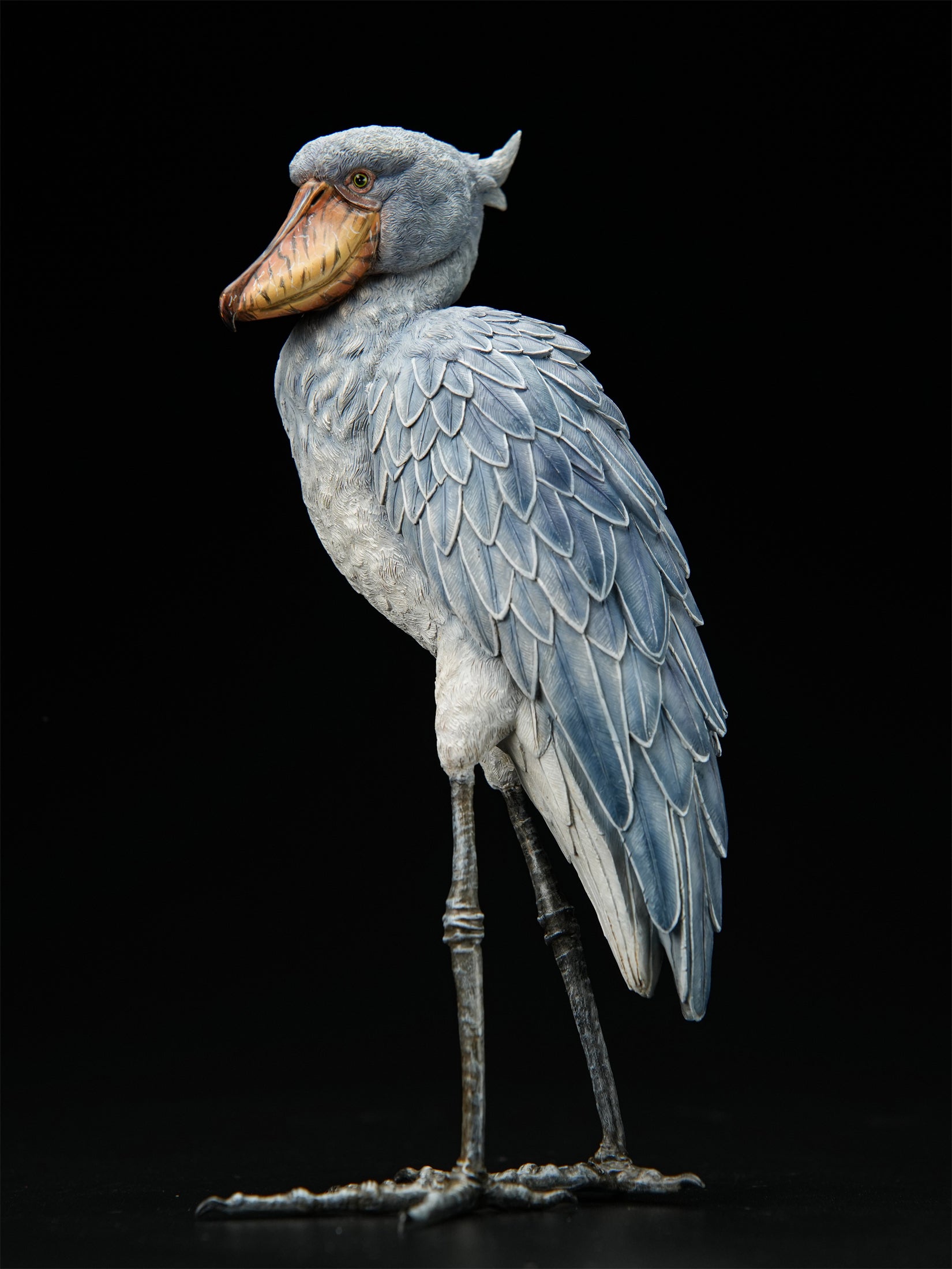 Shoebill Model