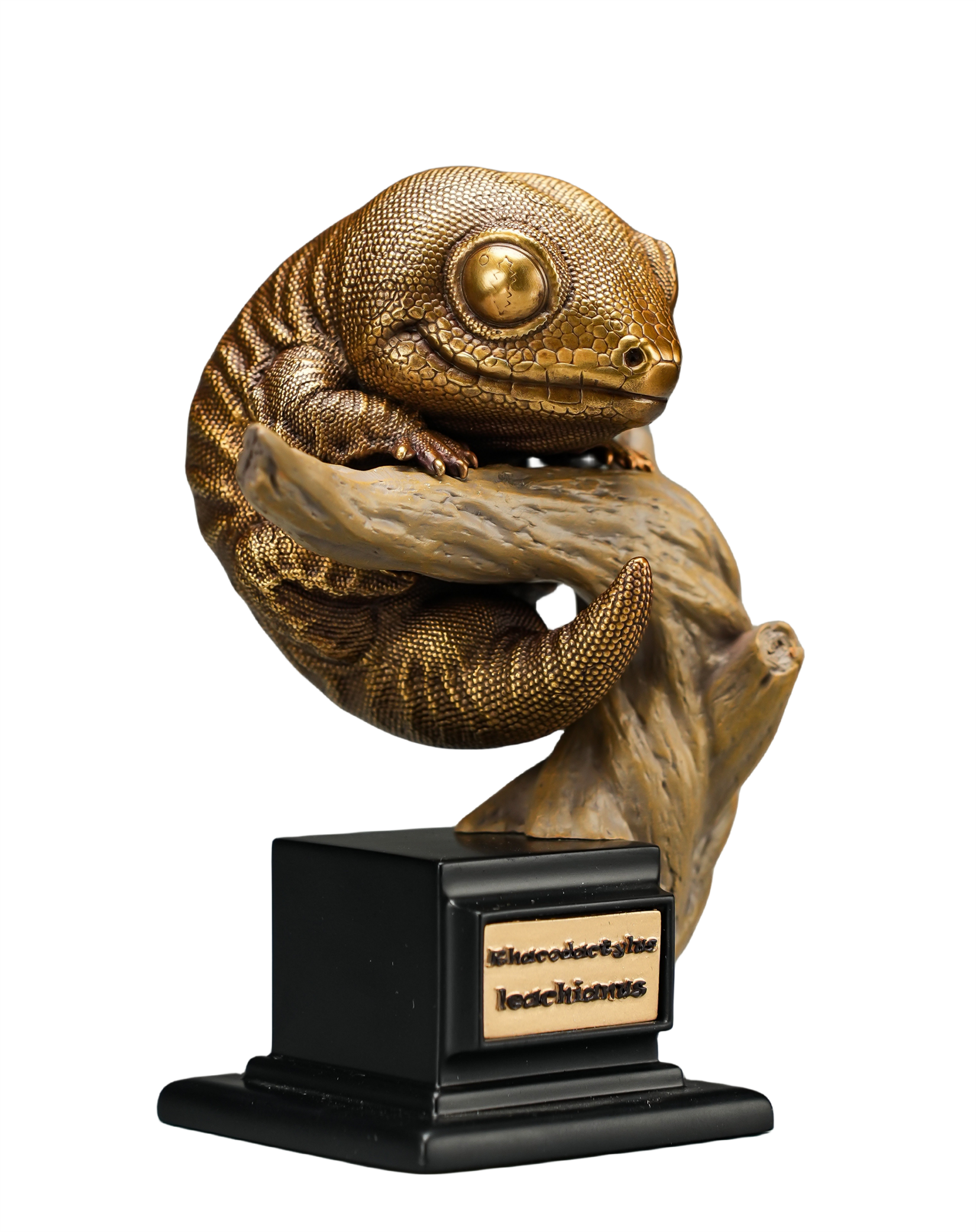 Rhacodactylus Leachianus Figure