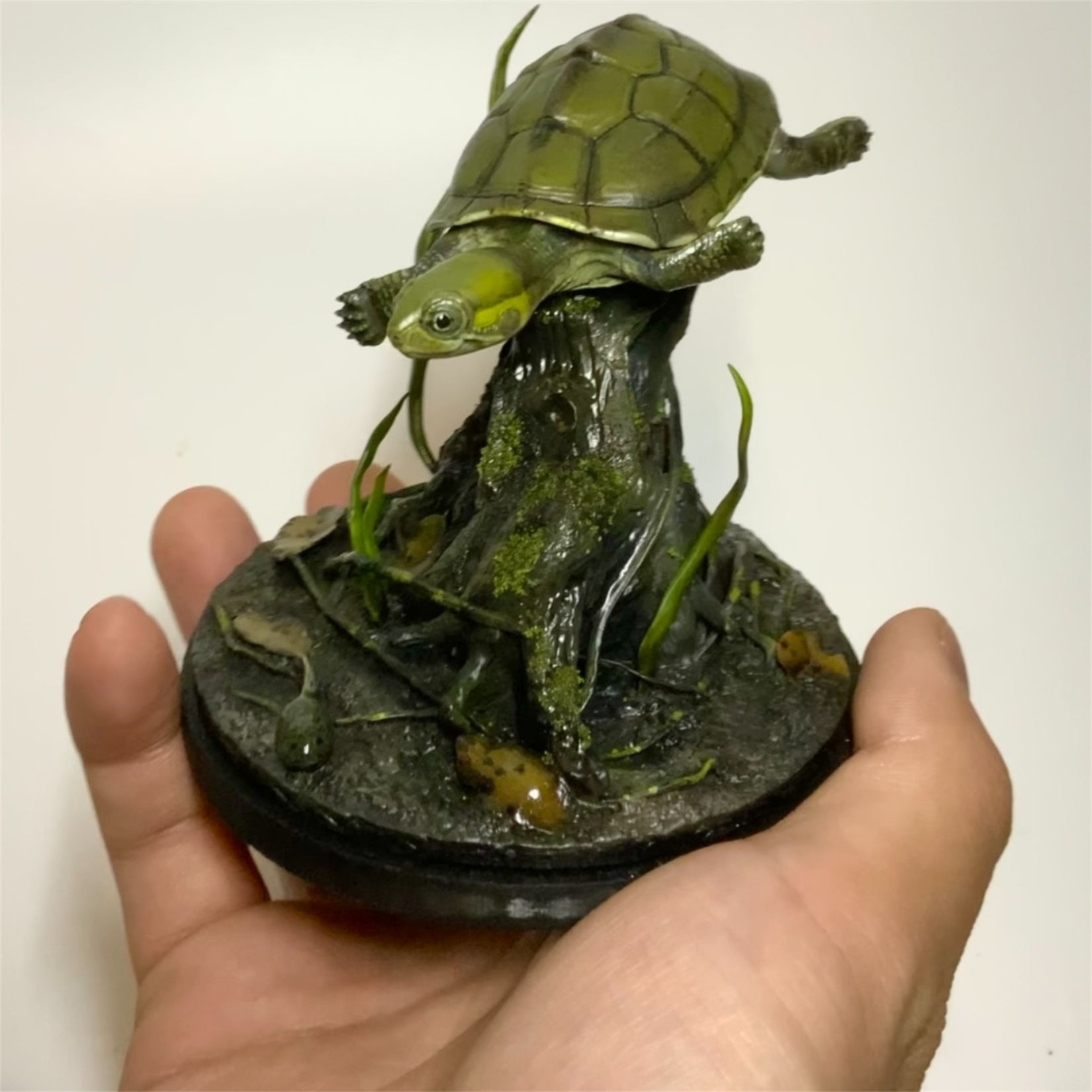 Yellow Pond Turtle Model