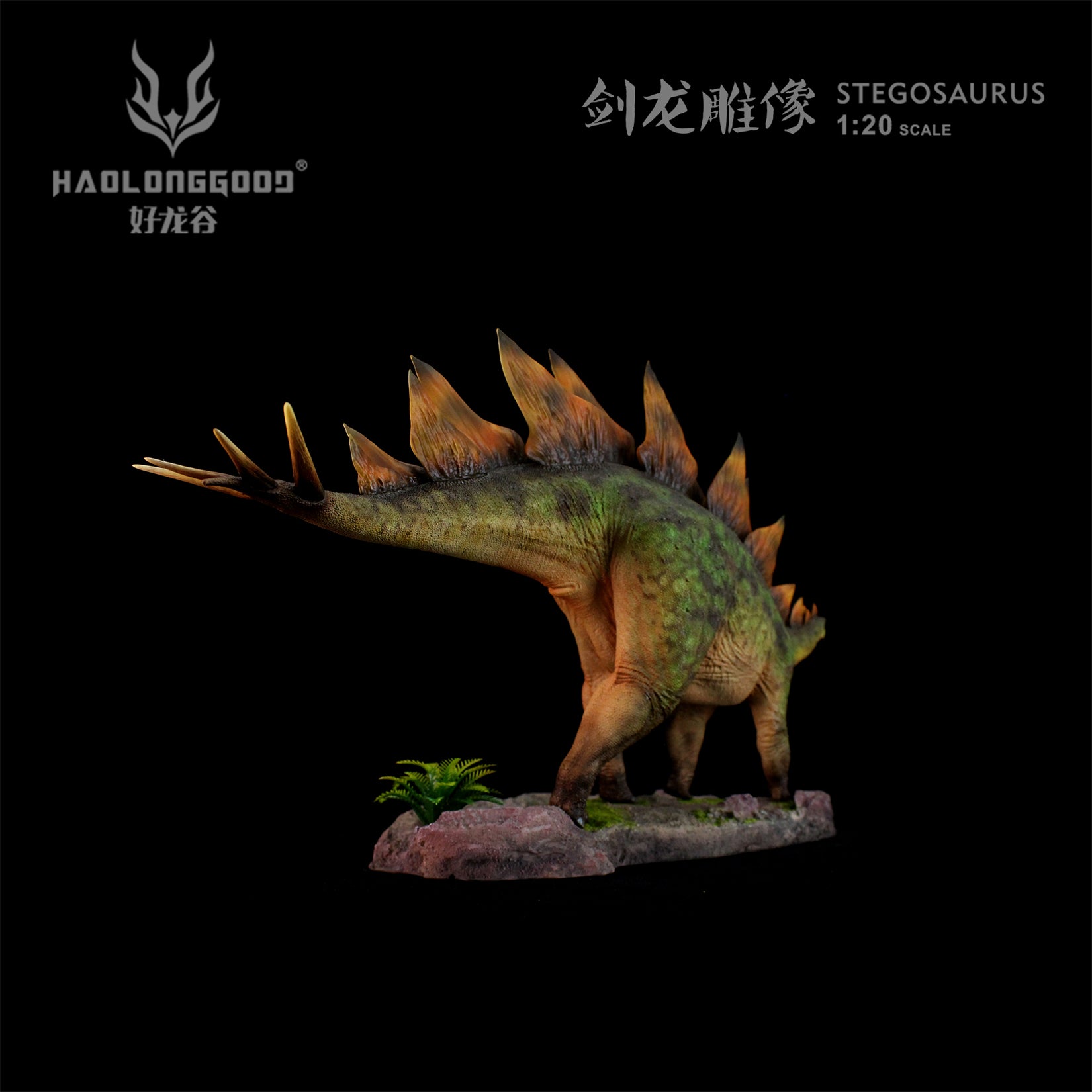 HAOLONGGOOD 1:20 Scale Stegosaurus Model