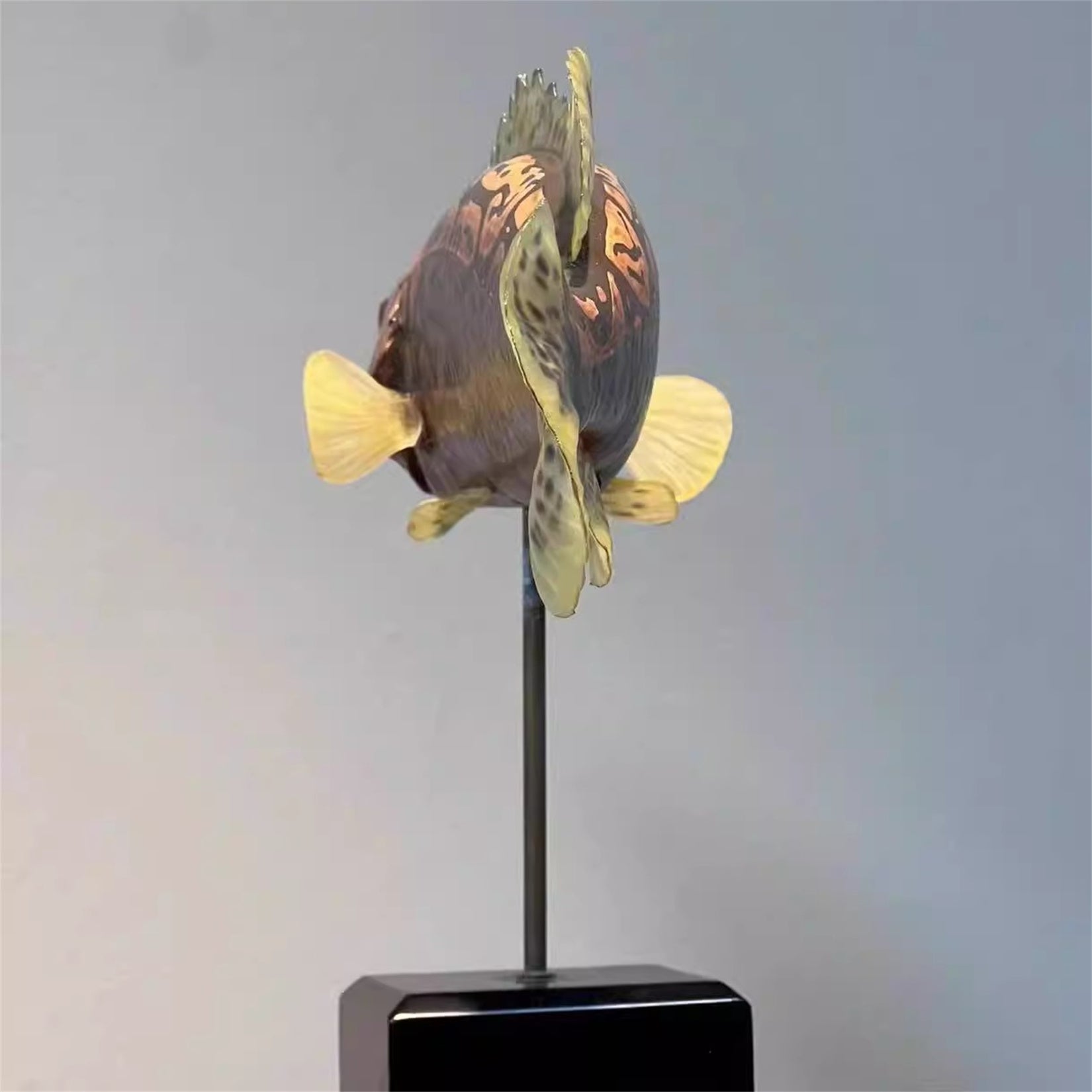 3D Siniperca Scherzeri Model