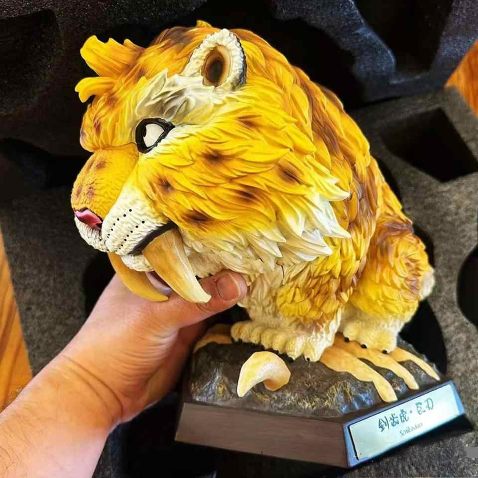KONG SPECIES STUDIO Limited Saber-toothed Tiger