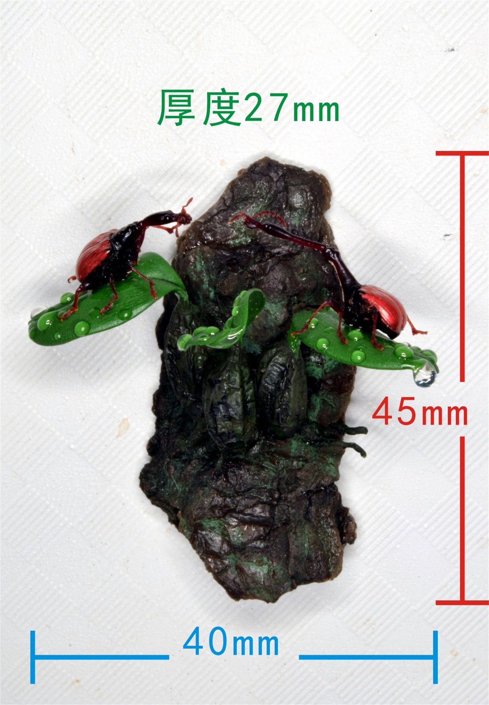Trachelophorus Giraffa Insect Model