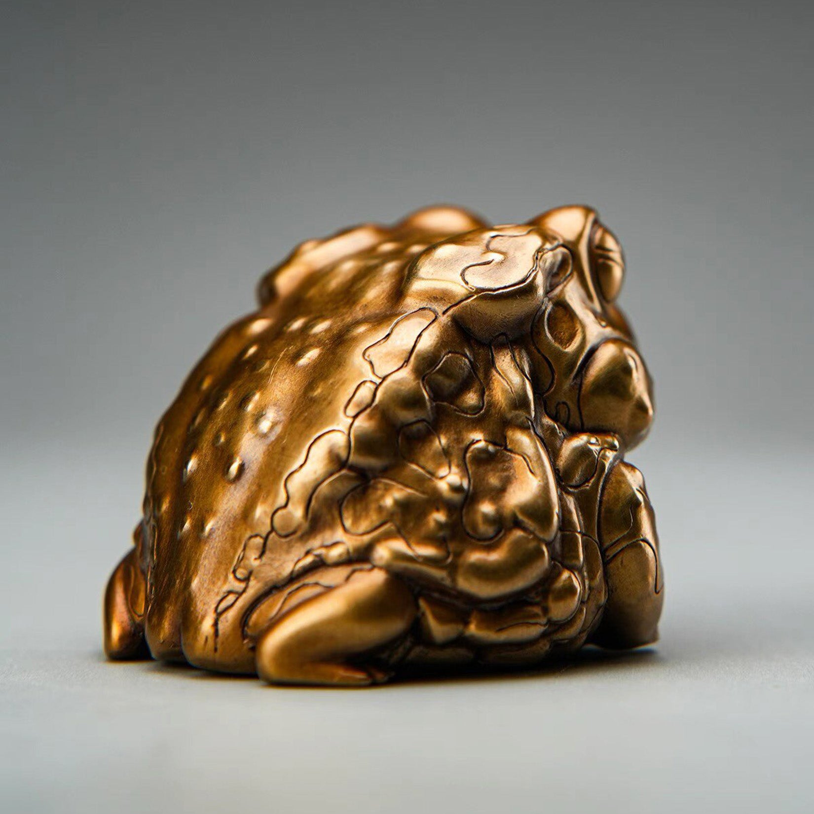 BOWUZHI Studio ‌Toad Model Animal Figure Collector