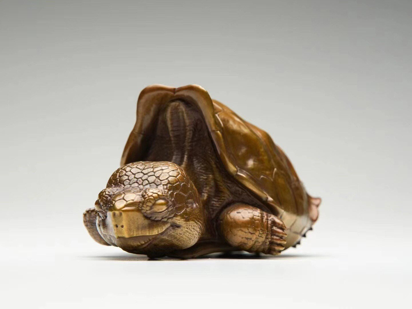BOWUZHI Studio Galápagos Giant Tortoise Bronze Model