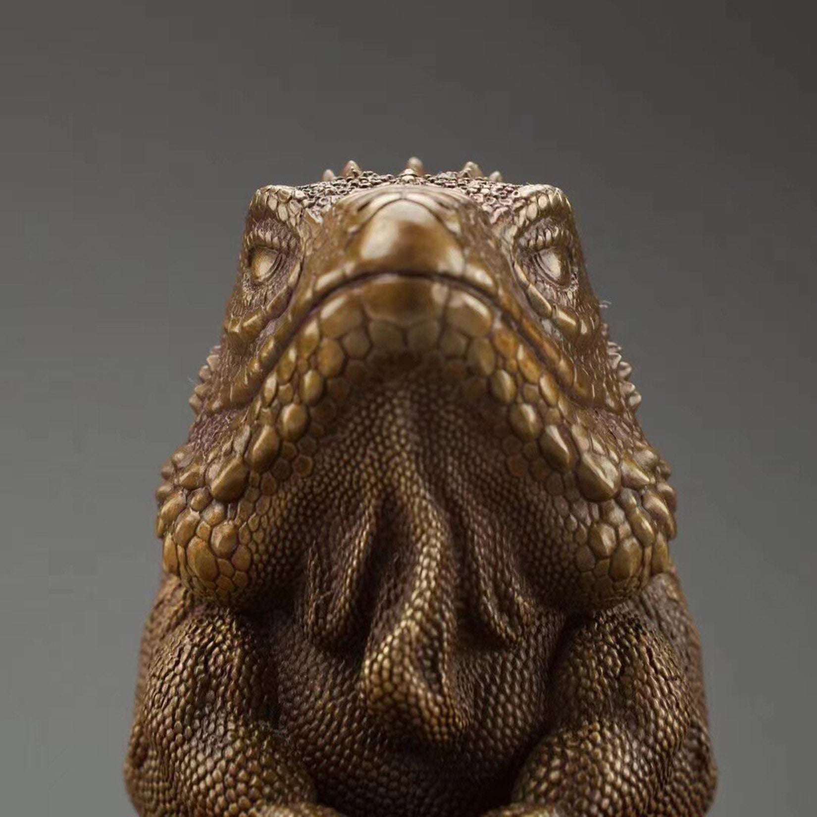 BOWUZHI Studio Bronze Cyclura lewisi Model