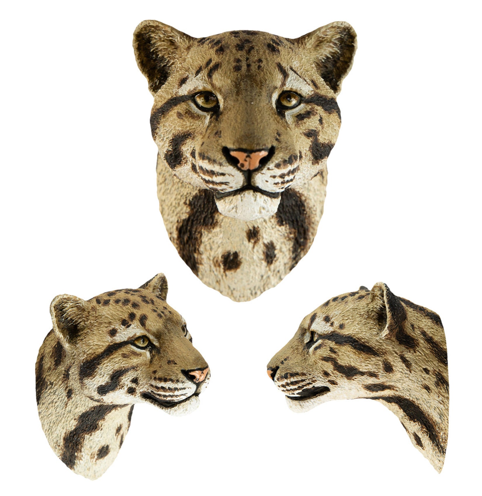 Animal Planet  World Encyclopedia Of Animals Volume 2