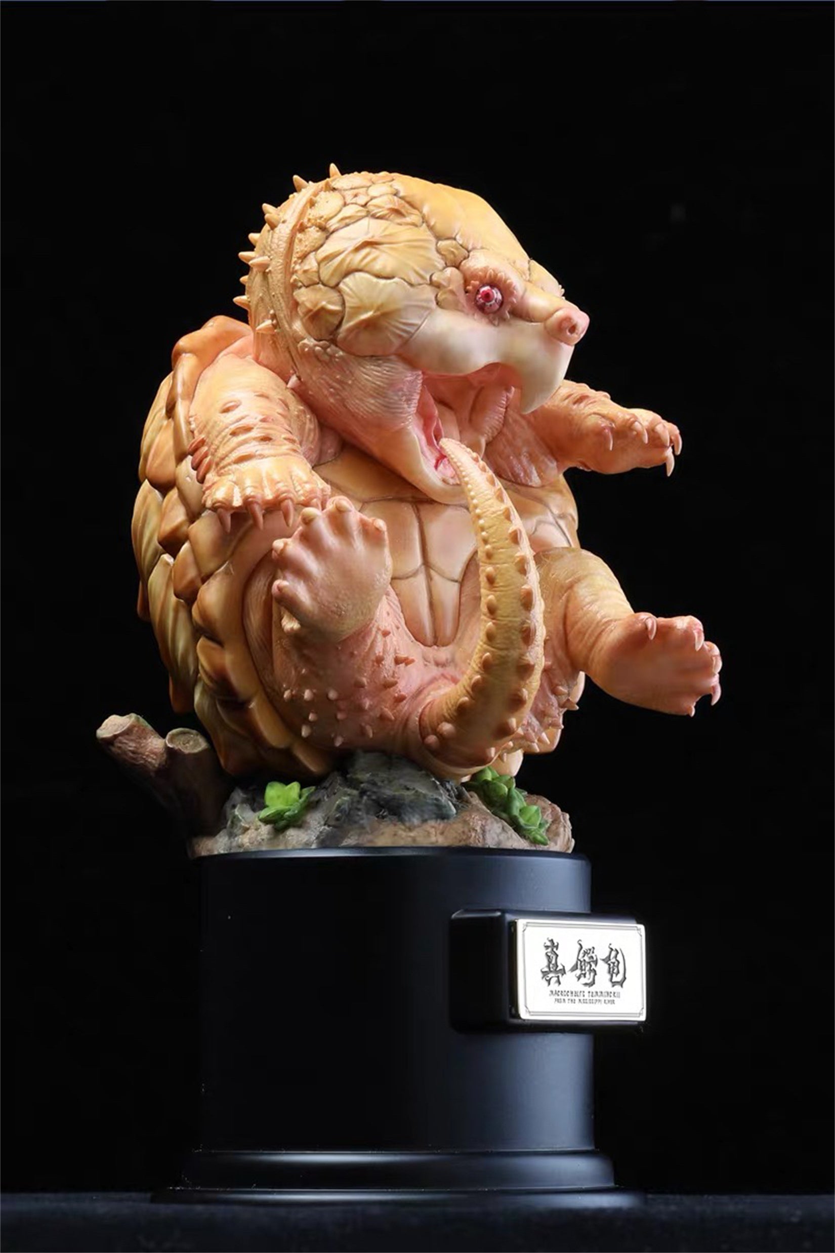 Macrochelys Temminckii Abbildung