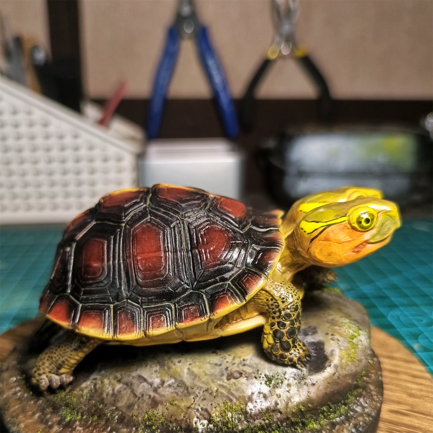 Two-headed Yellow-margined Box Turtle Model