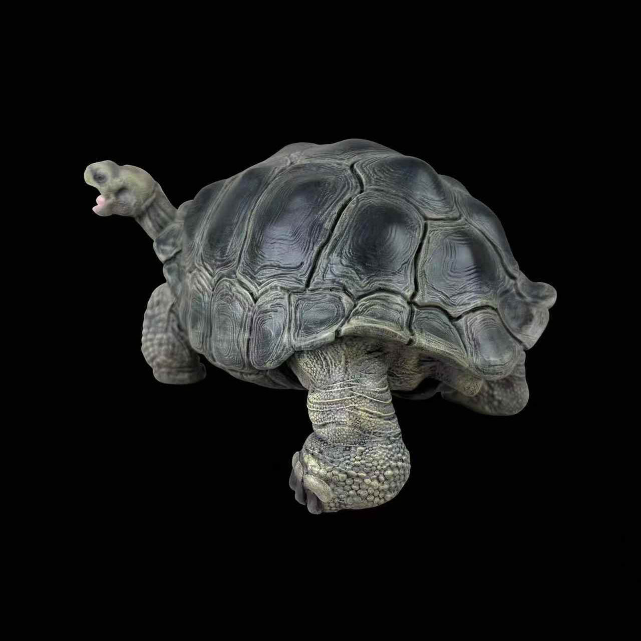BOWUZHI Studio Chelonoidis Galapagoensis Turtle Model