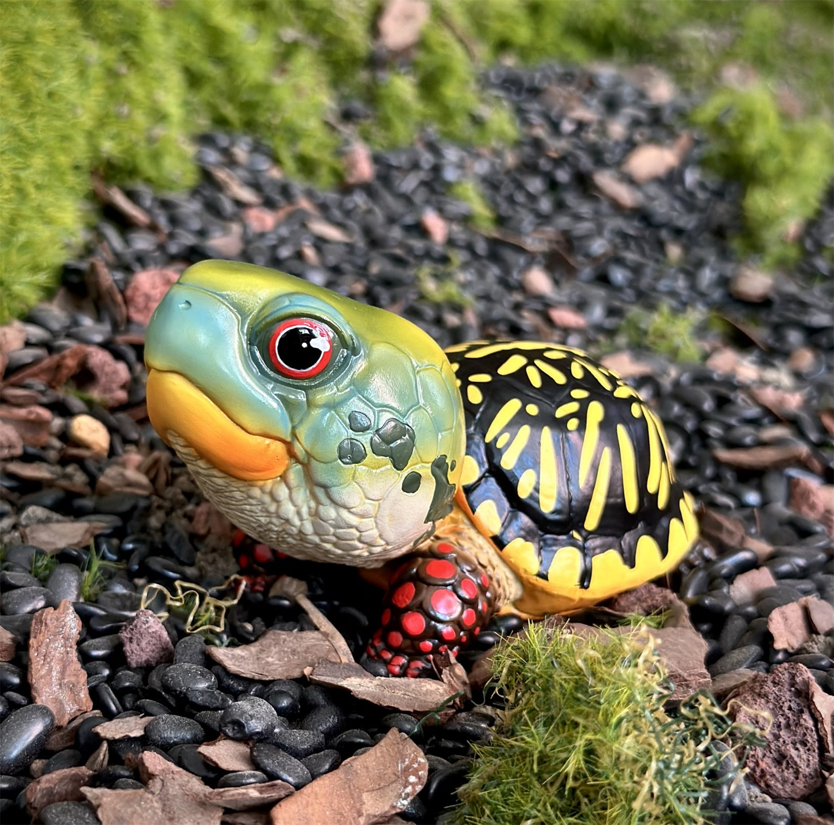 BOWUZHI STUDIO Terrapene Box Turtle Model