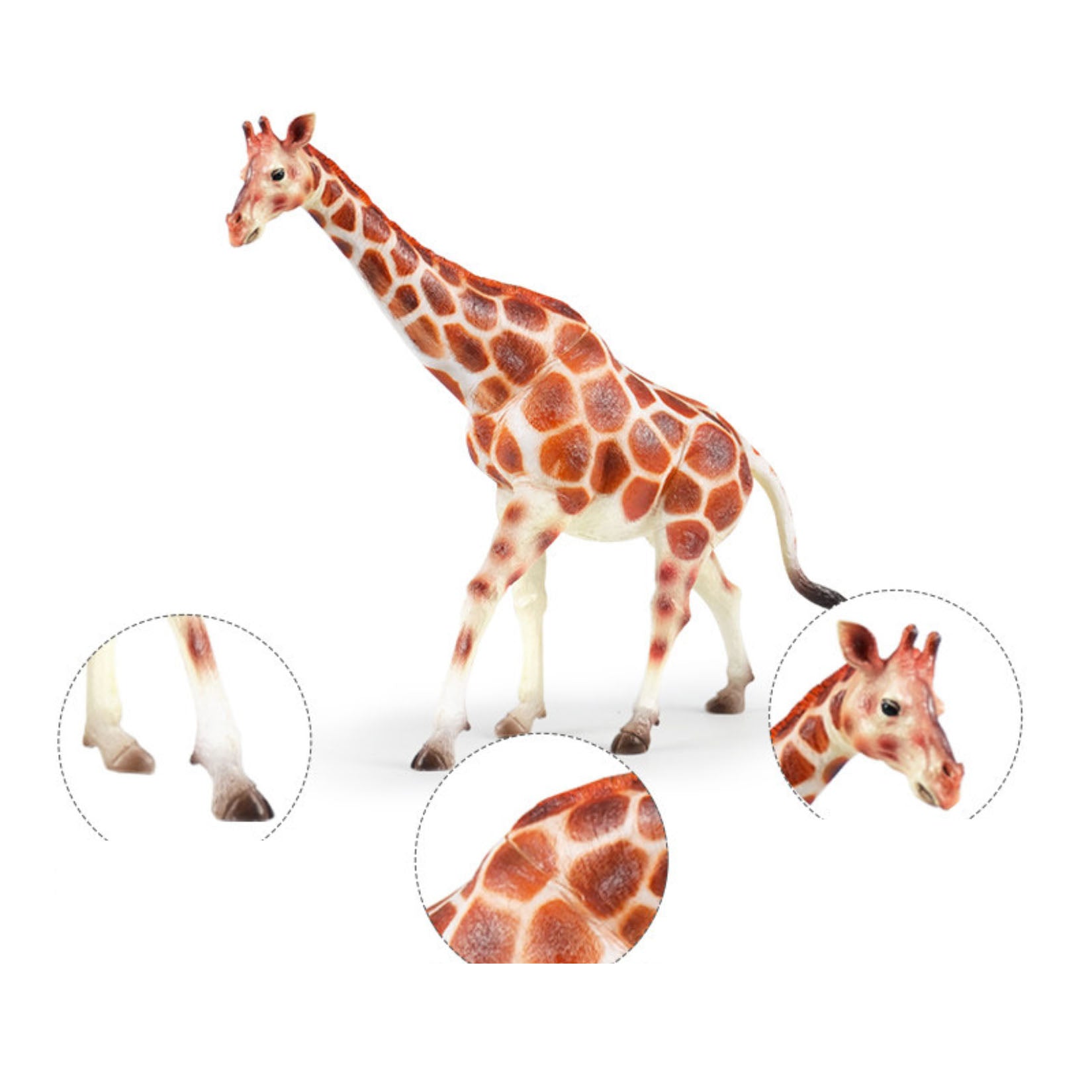 RECUR Giraffe Model