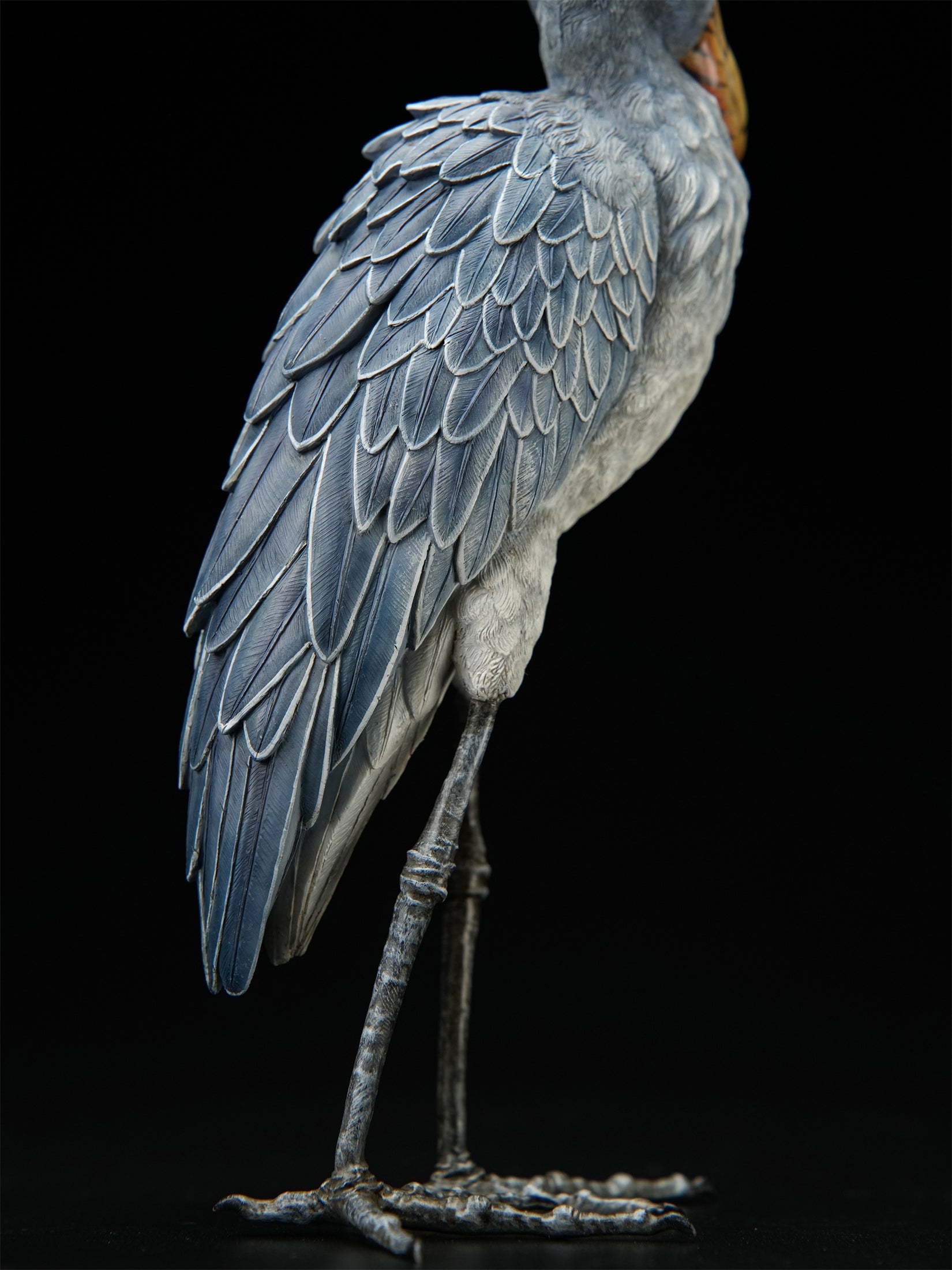 Shoebill Model