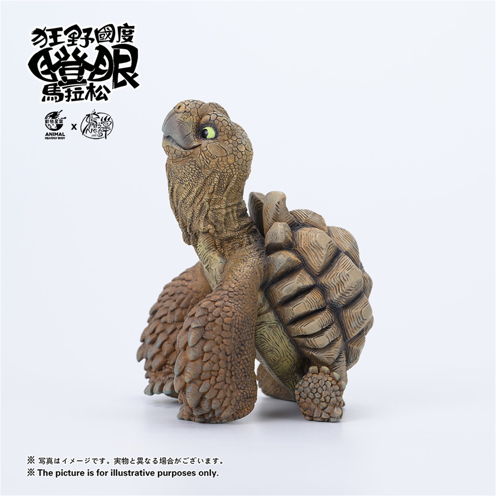 Centrochelys Sulcata Model