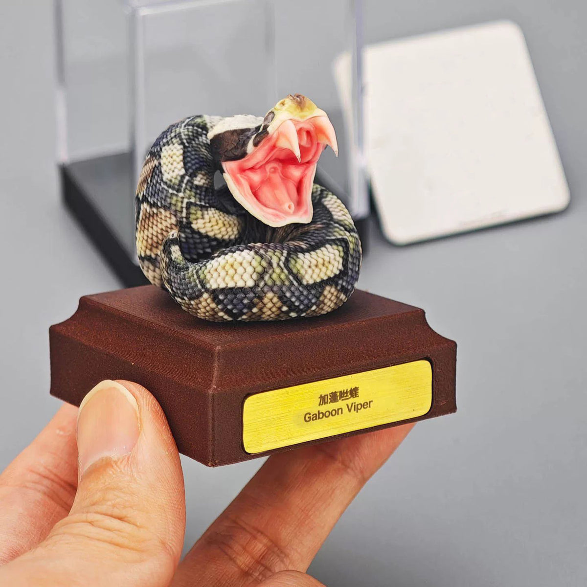 ViVid Studio Rhinoceros Viper & Gaboon Viper Model