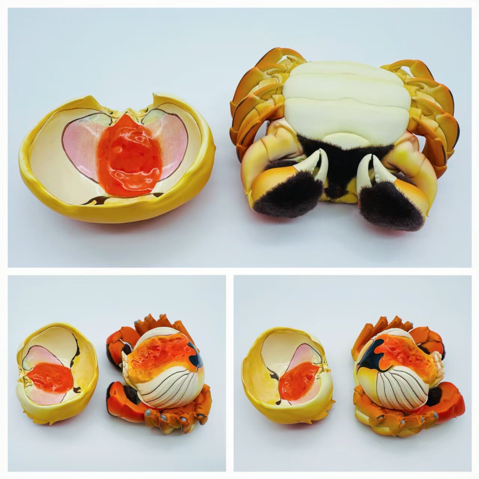 Animal Heavenly Body Chinese Mitten Crab PLUS‑Version Model