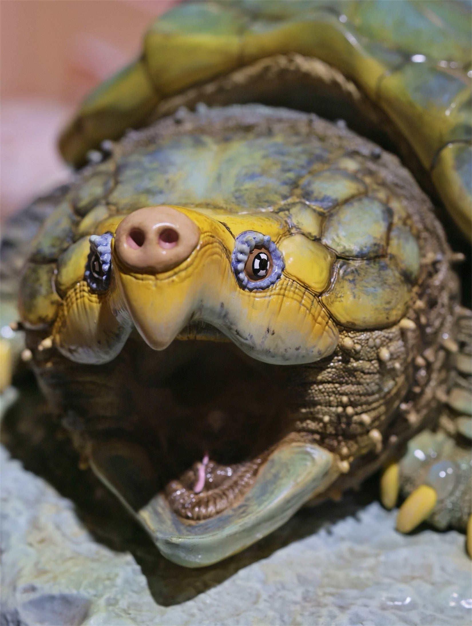 Animal Heavenly Body  Plus Alligator Snapping Turtle Figurine
