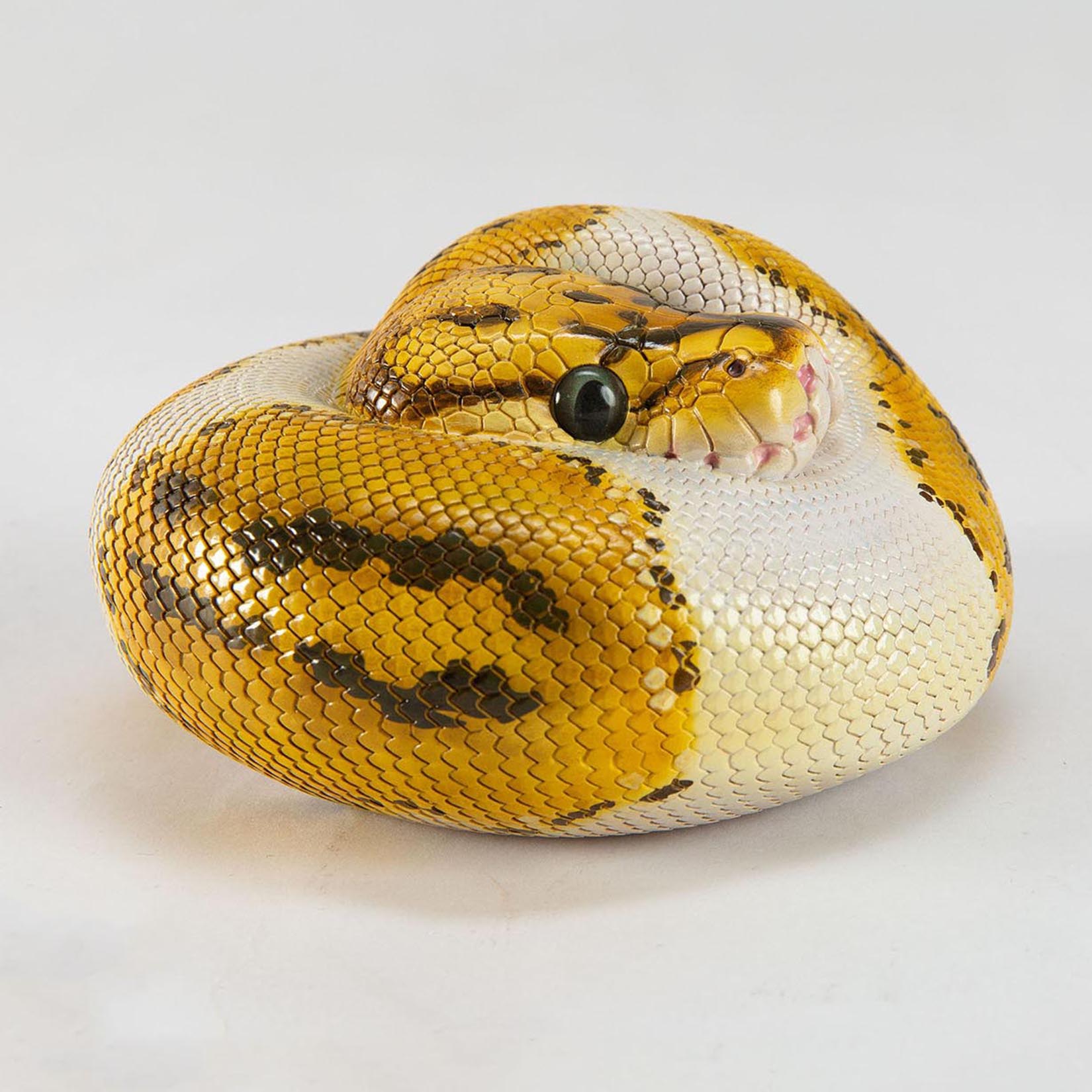 Animal Heavenly Body Plus Ball Python‌ Model