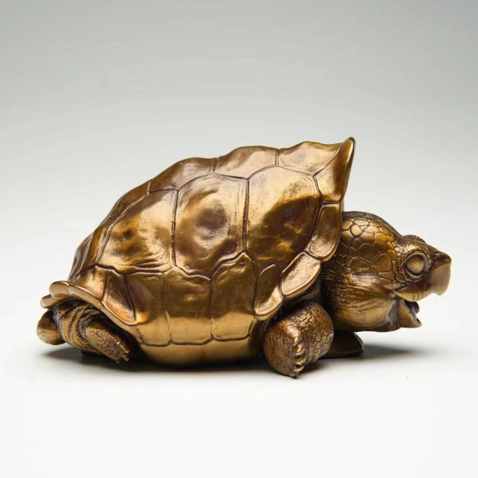 BOWUZHI Studio Chelonoidis Niger Bronze Model