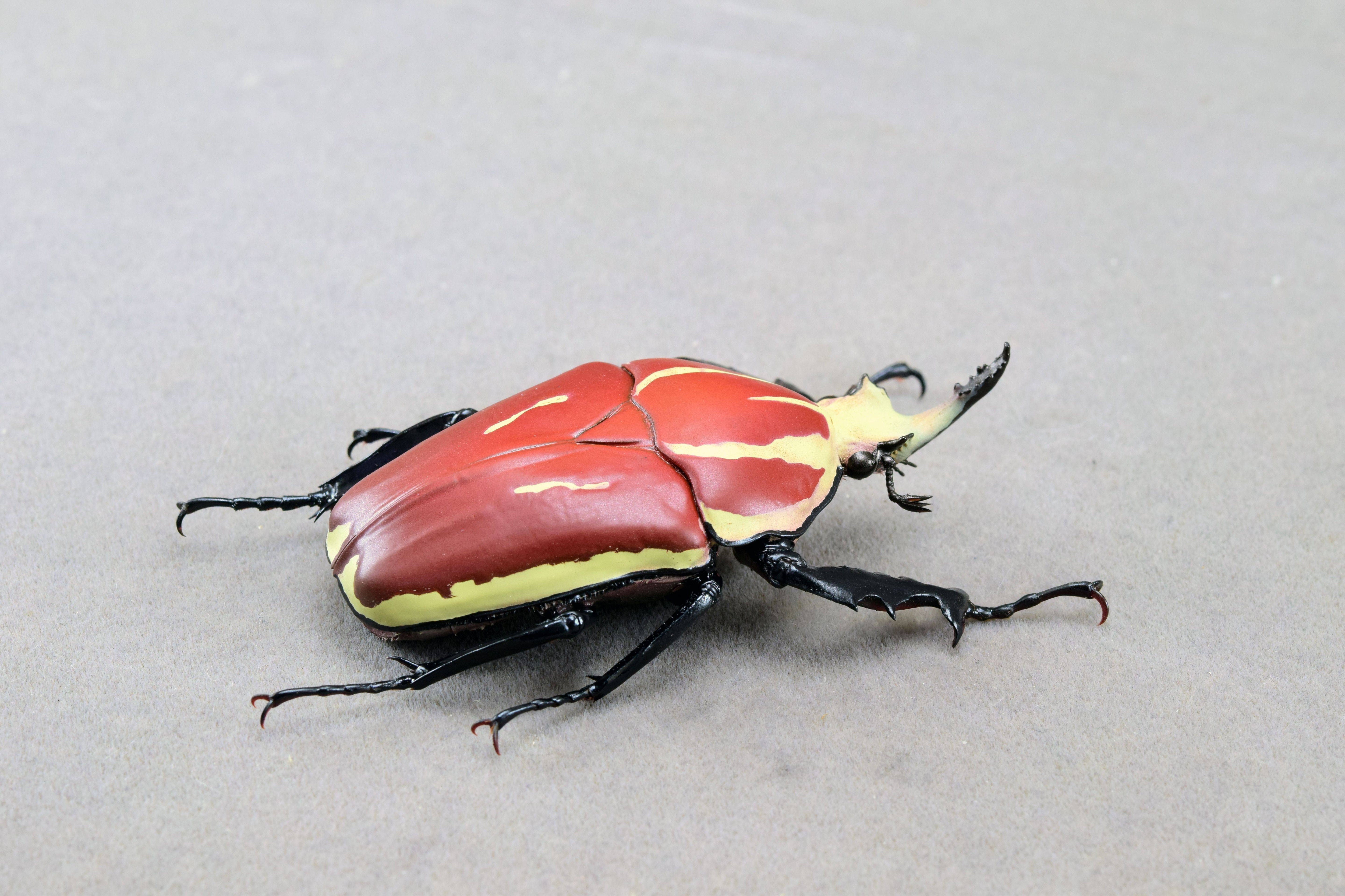 Wunderschöne Chemiepuppe im Maßstab 1:6 