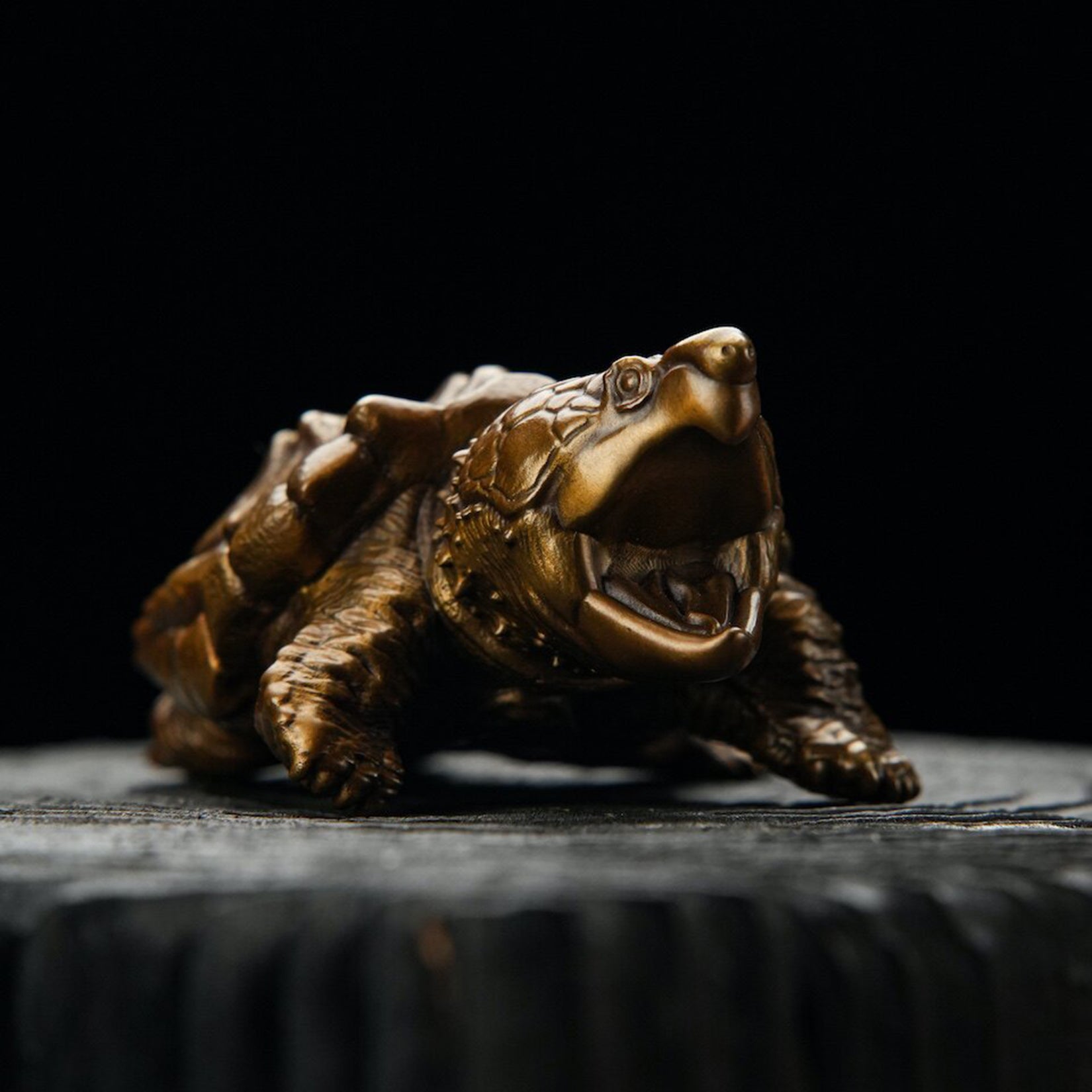 BOWUZHI Studio Macrochelys Temminckii Bronze Model