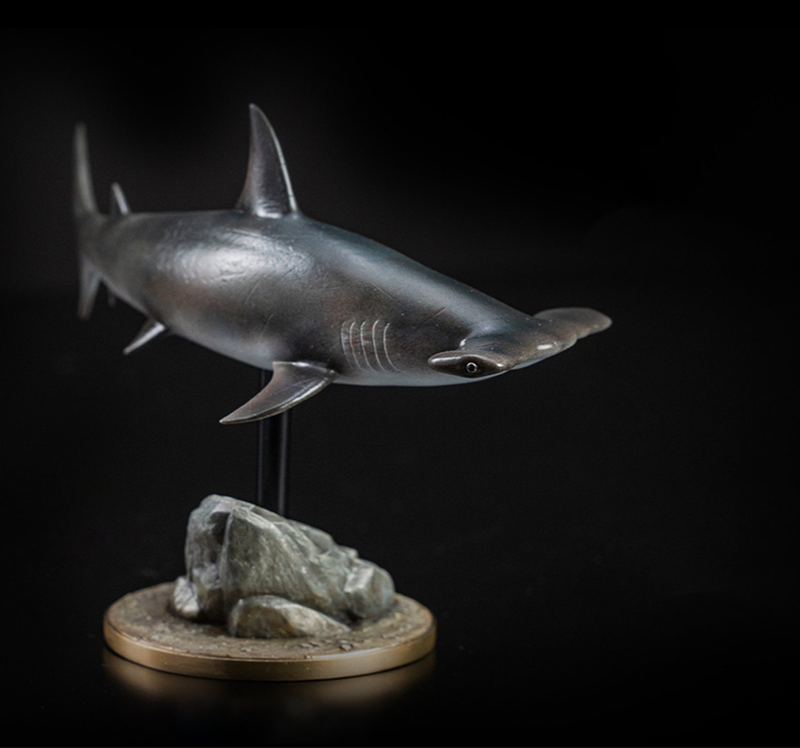 Great Hammerhead Model