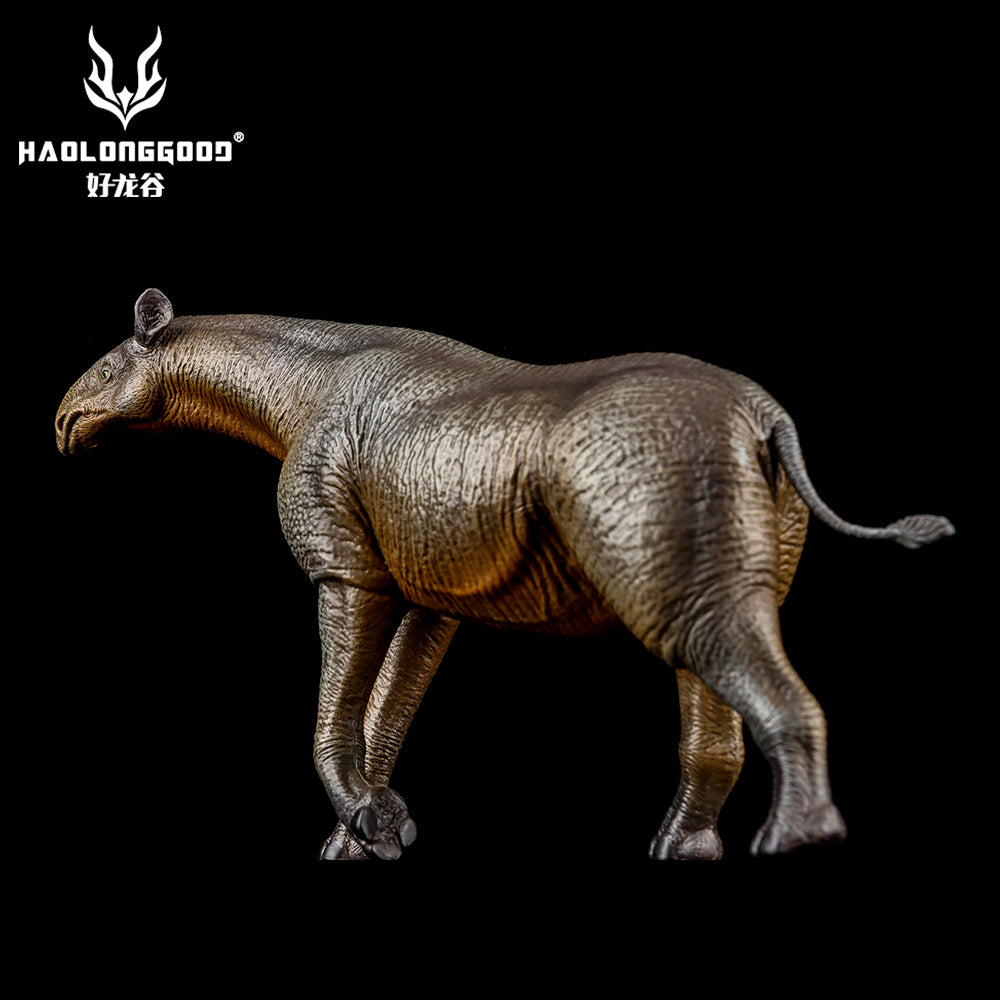 HAOLONGGOOD 1:35 Scale Paraceratherium Model