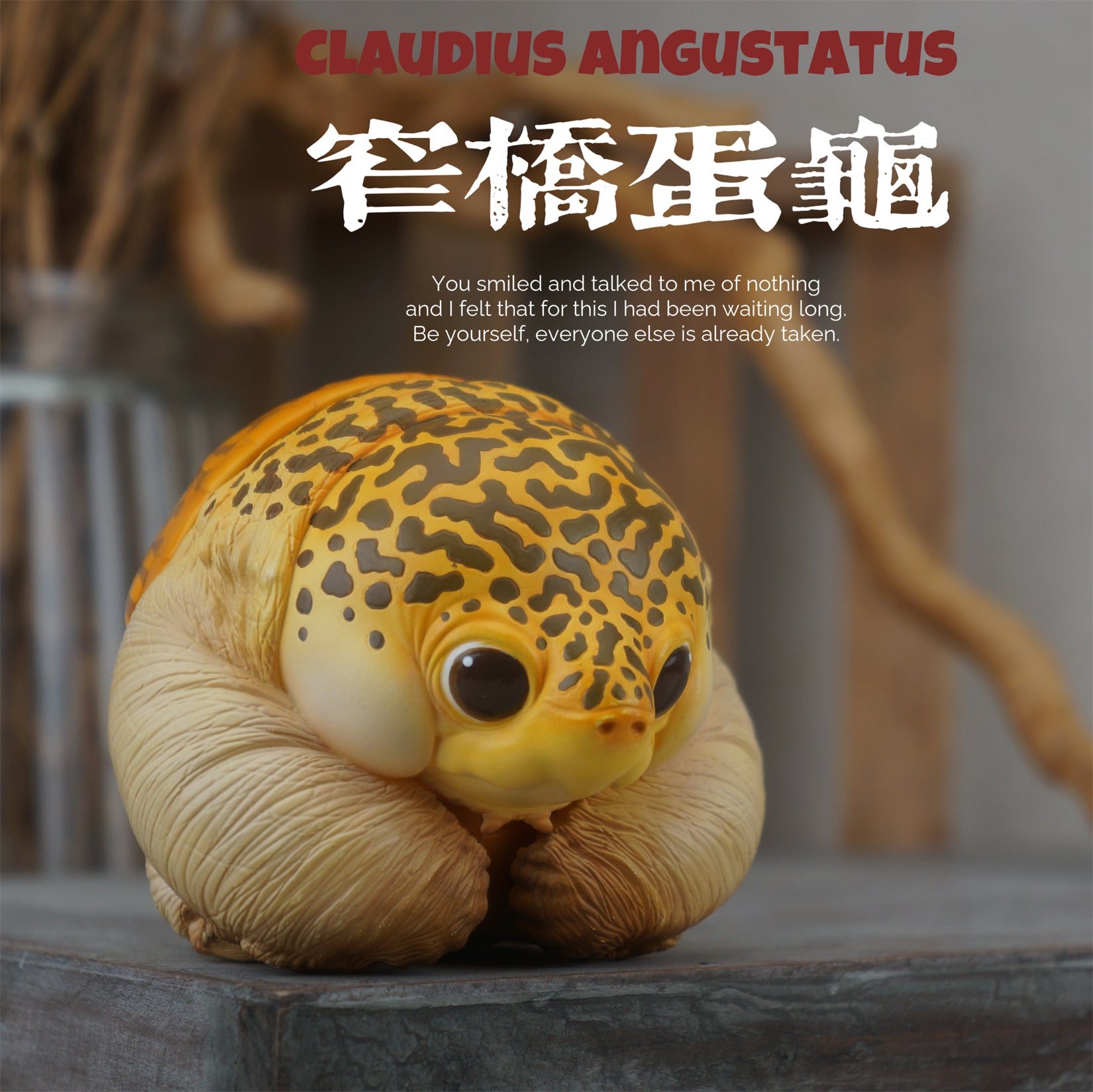 Turtle Series  Animal Model