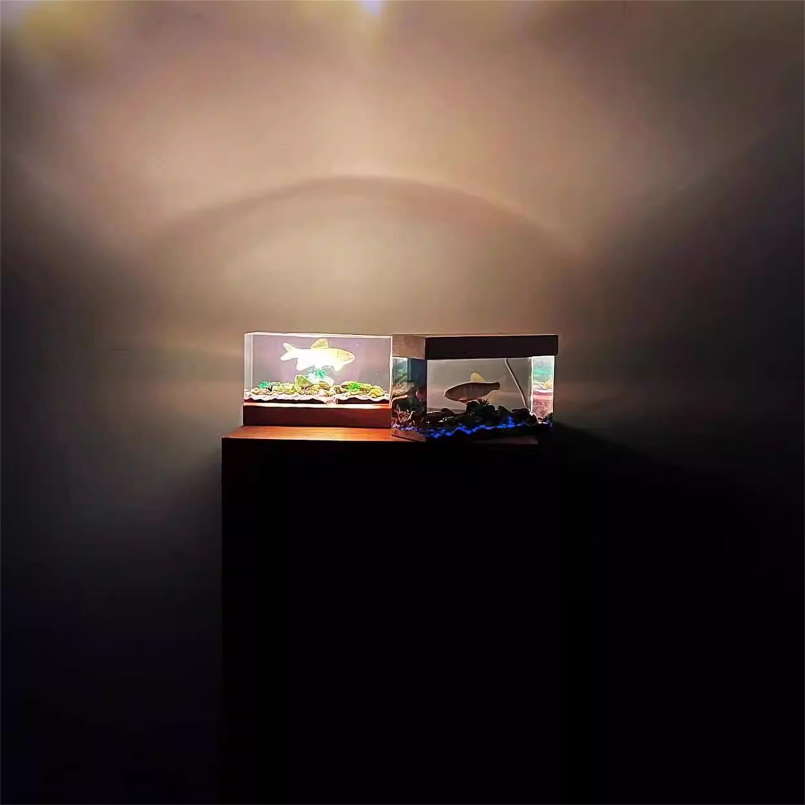 Ochetai Barbel Night Light Fish Figurine