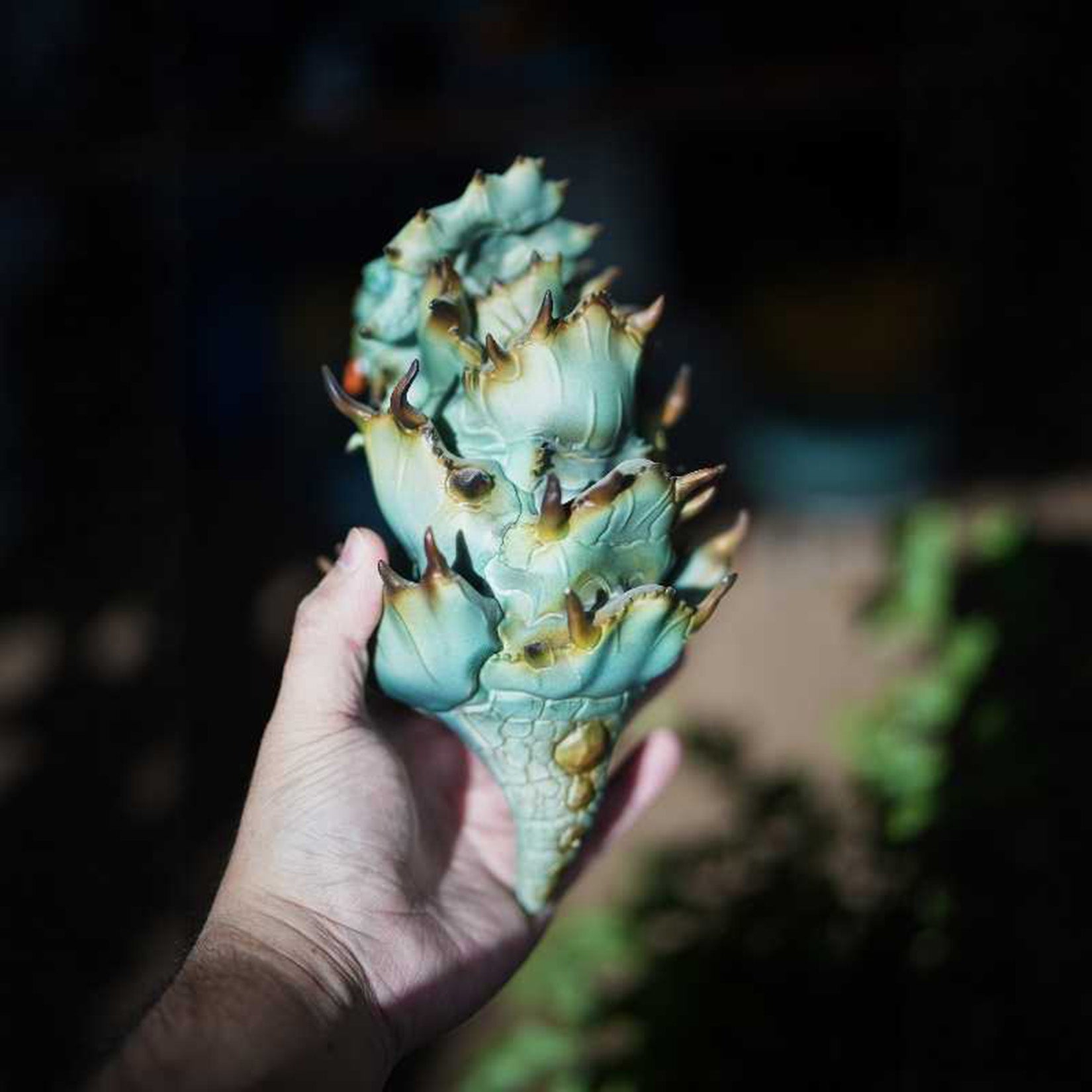 Blue Whale Skink Model