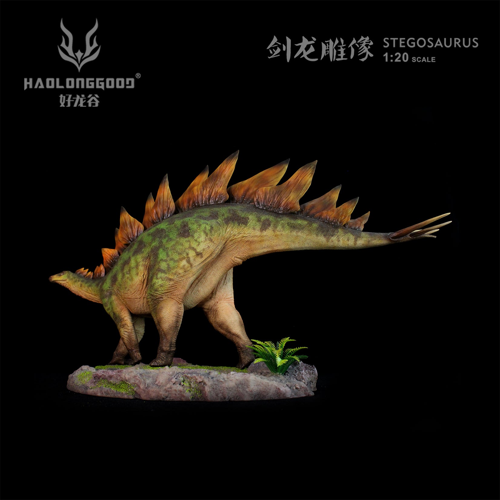 HAOLONGGOOD 1:20 Scale Stegosaurus Model