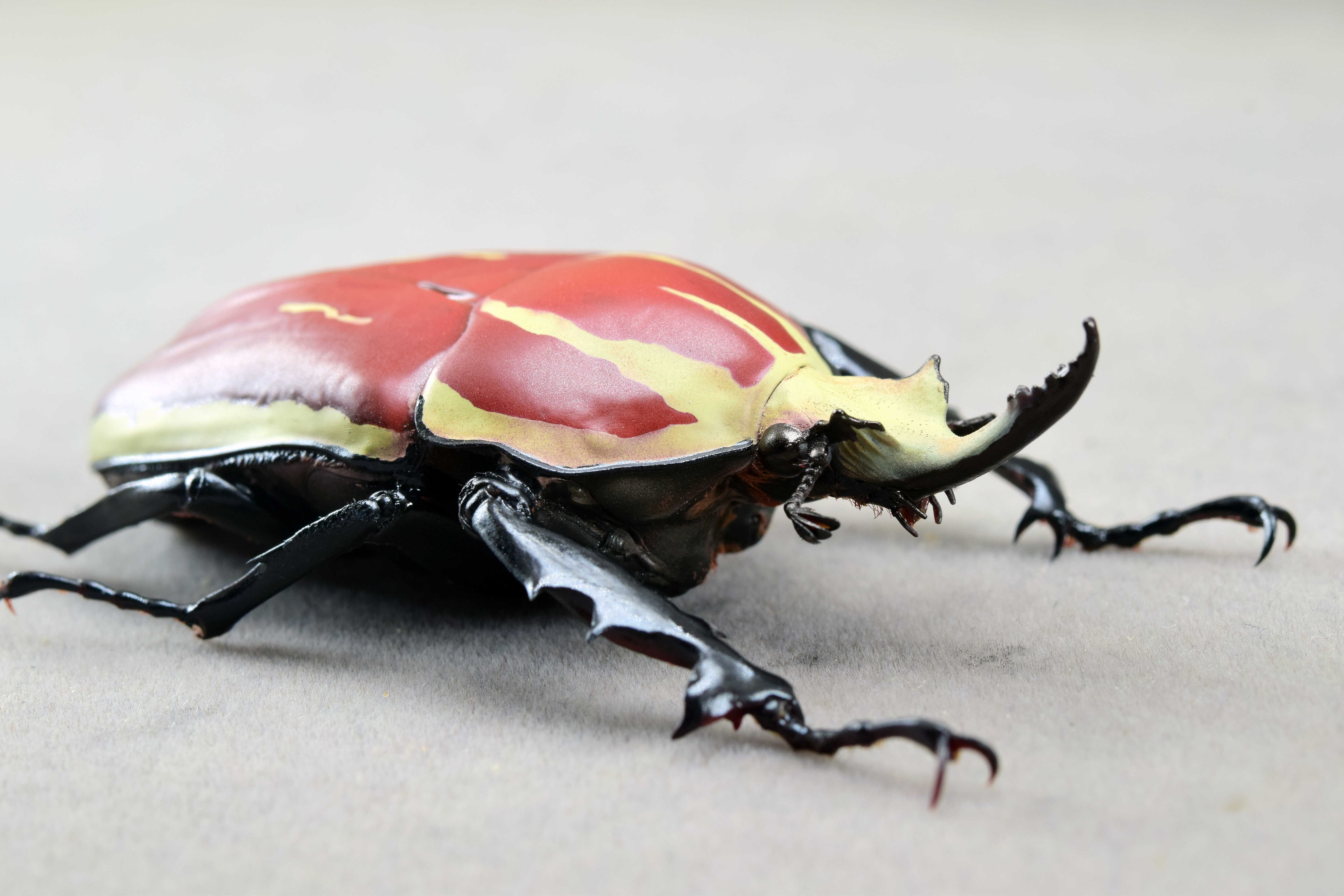 Wunderschöne Chemiepuppe im Maßstab 1:6 