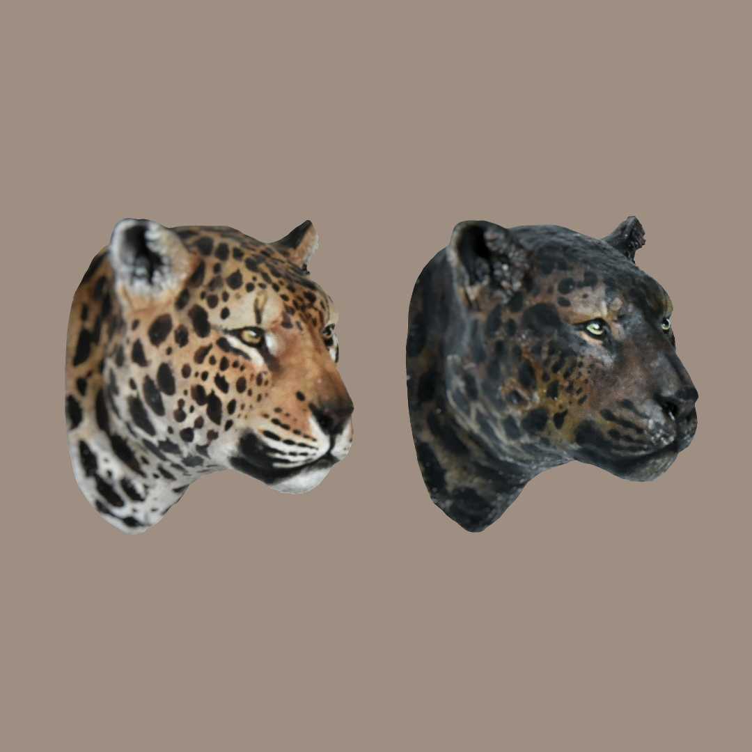 Schildkröten-Serie Tiermodell 