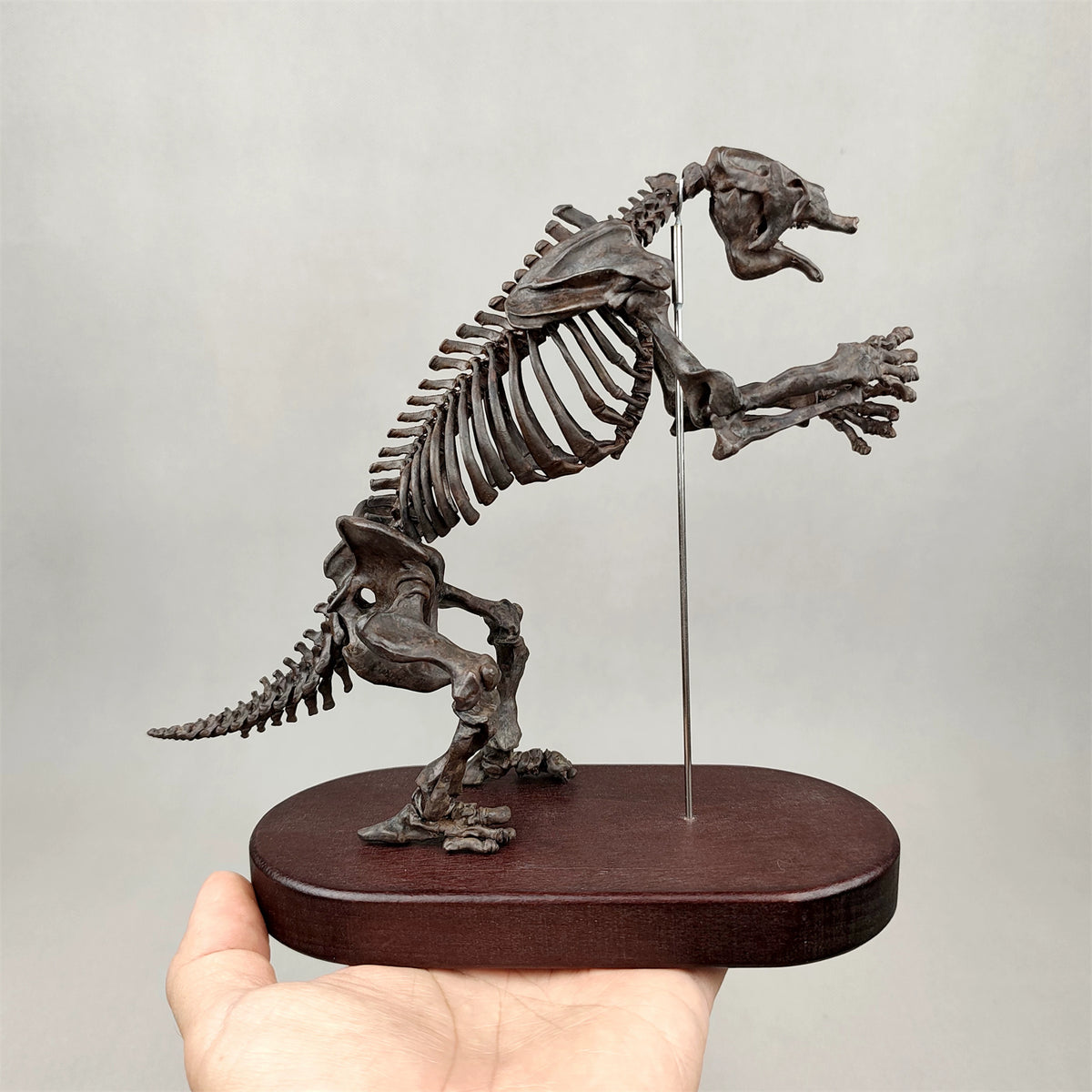 3D Printed 1:20 Scale Megatherium Skeleton Model