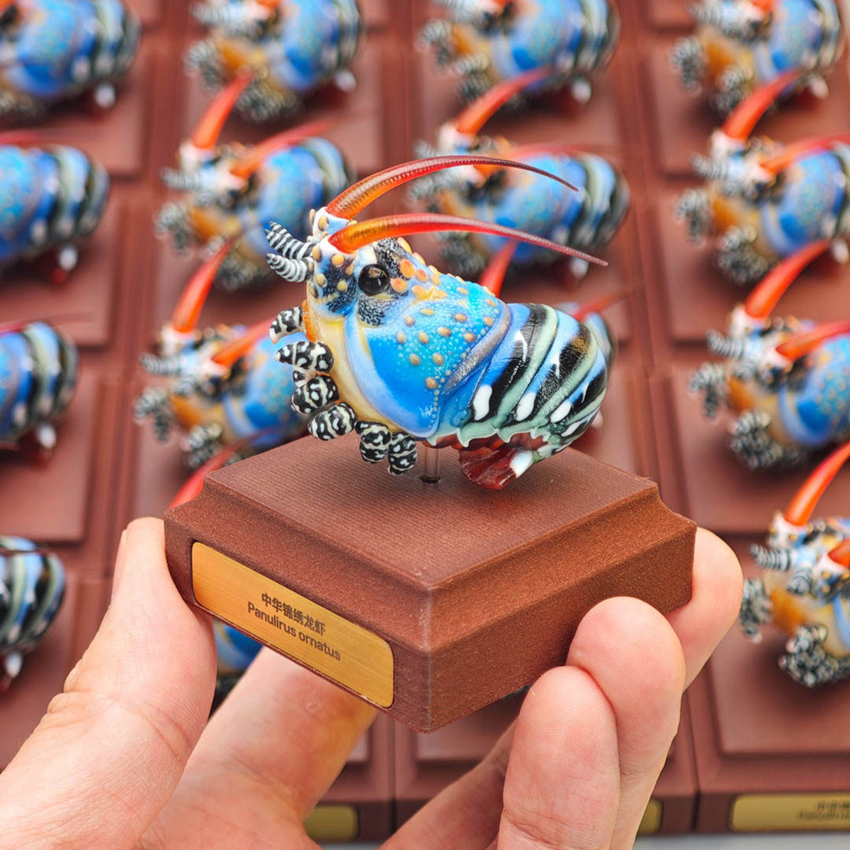 ViVid Studio Ornate Spiny Lobster Model