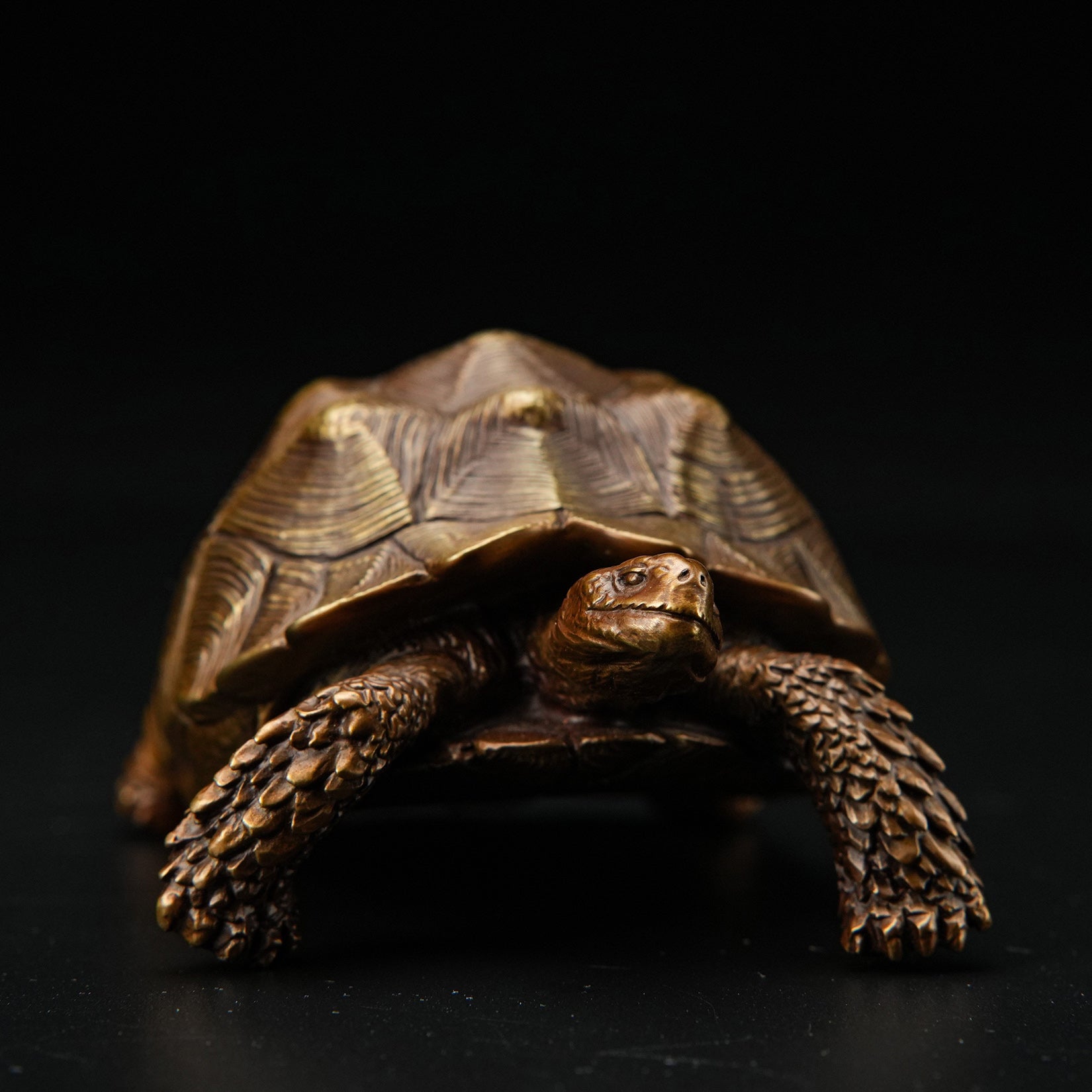 BOWUZHI Studio Sahel Tortoise Bronze Edition Model