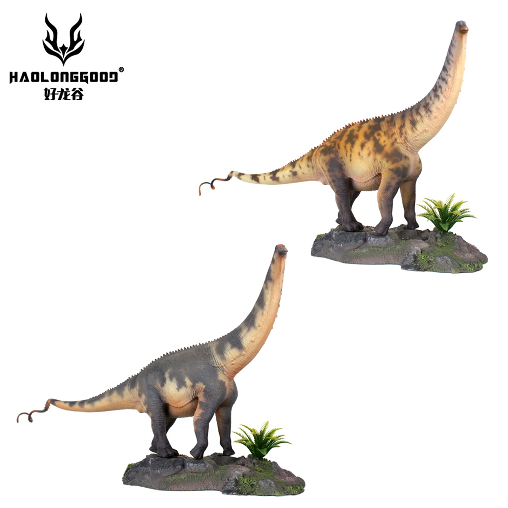 HAOLONGGOOD 1:35 Scale Brontosaurus Model