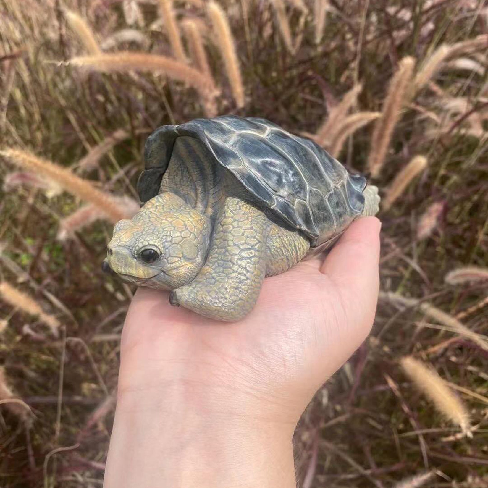 BOWUZHI Studio Galapagos Giant Tortoise Model