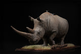 De CLAY Studio White rhinoceros Model