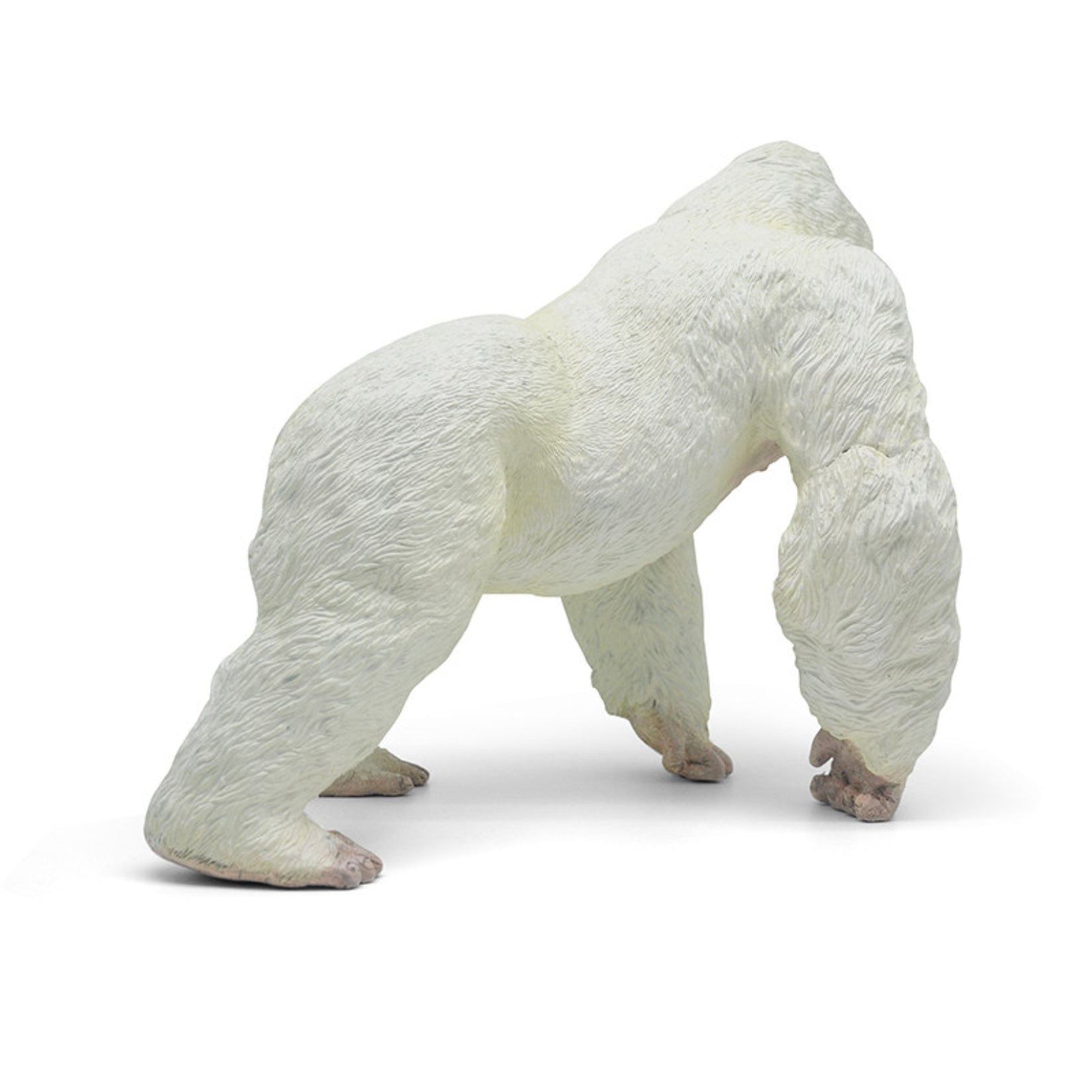 RECUR Gorilla Wild Animal Model
