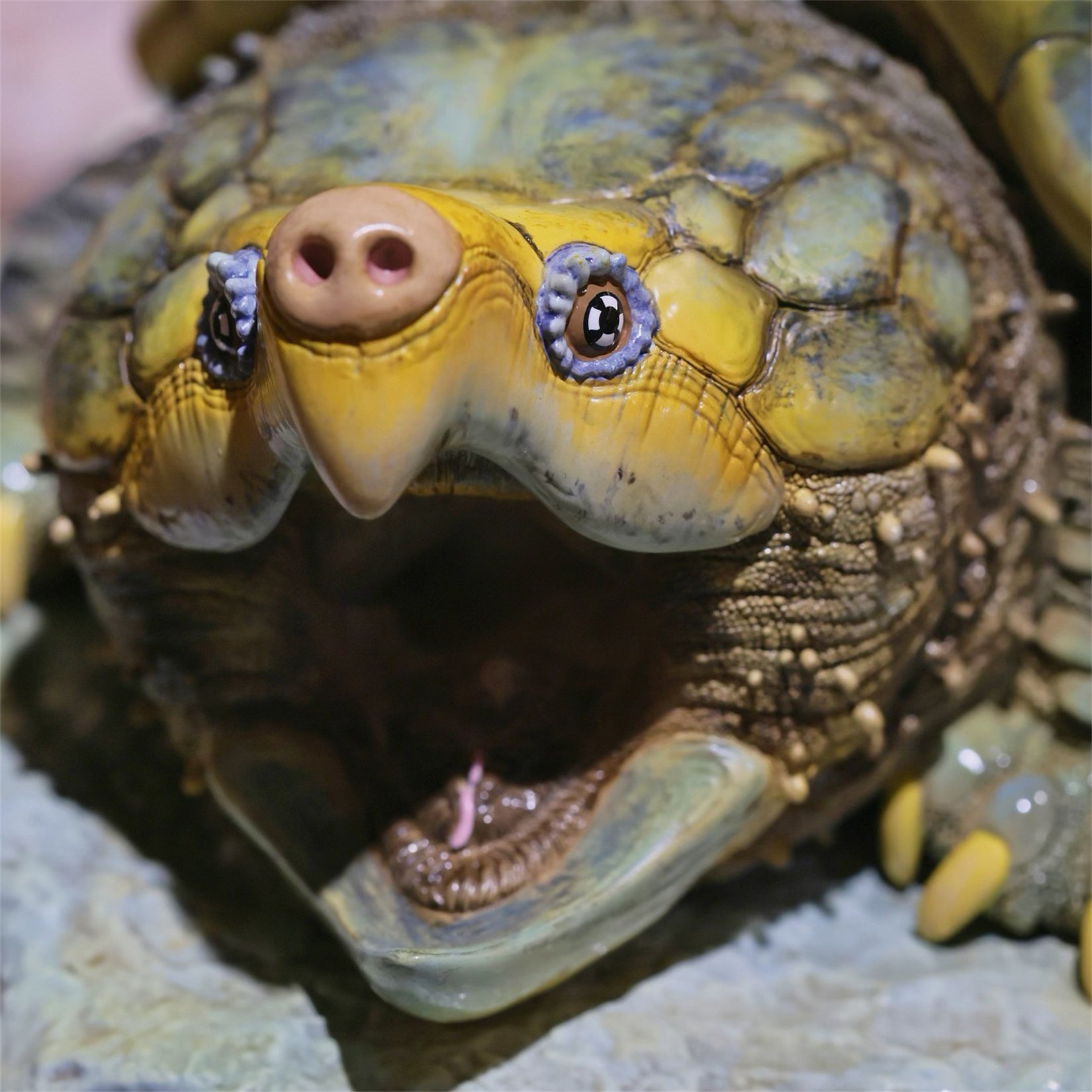 Animal Heavenly Body  Plus Alligator Snapping Turtle Figurine