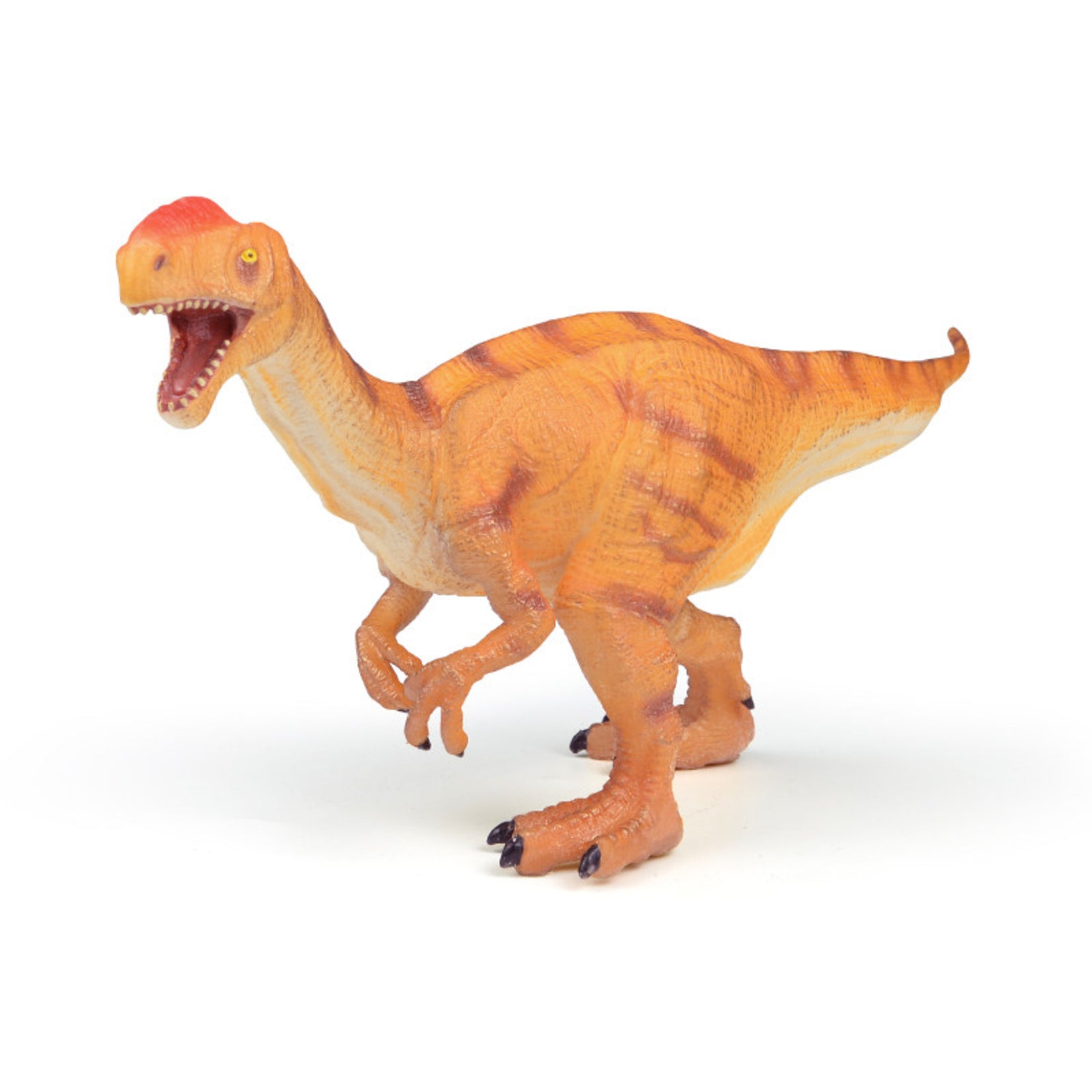 RECUR Monolophosaurus  Model
