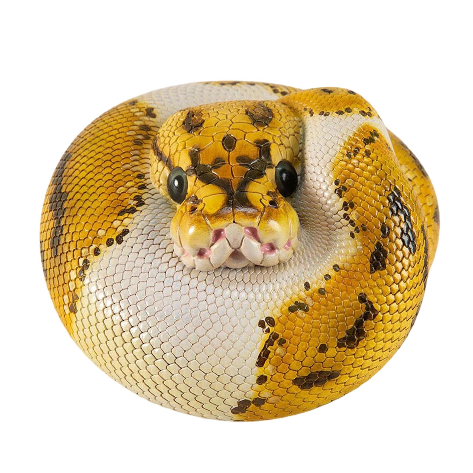 Animal Heavenly Body Plus Ball Python‌ Model