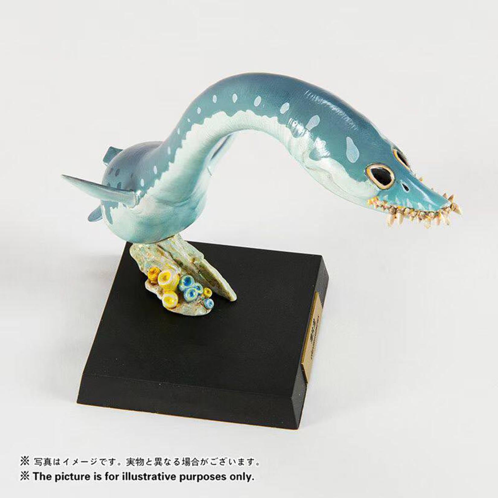 Animal Heavenly Body  Elasmosaurus Mosasaurus Liopleurodon Model