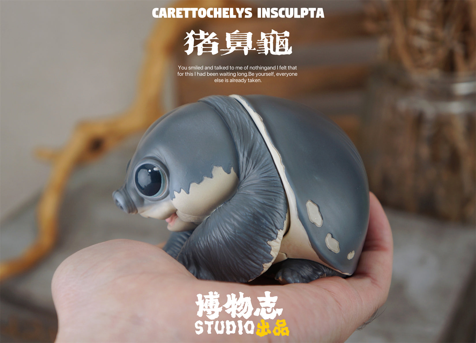 Schildkröten-Serie Tiermodell 