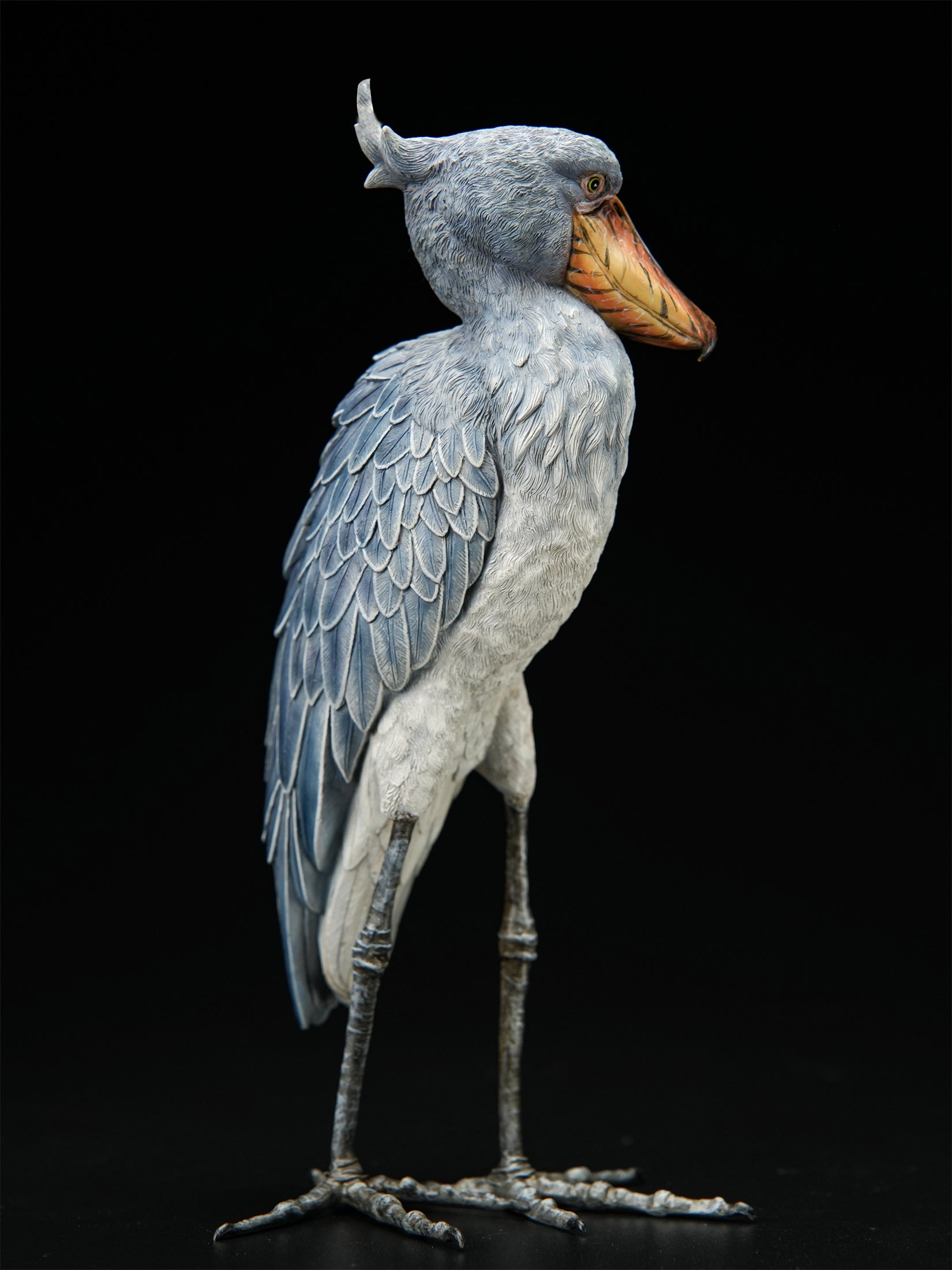 Shoebill Model