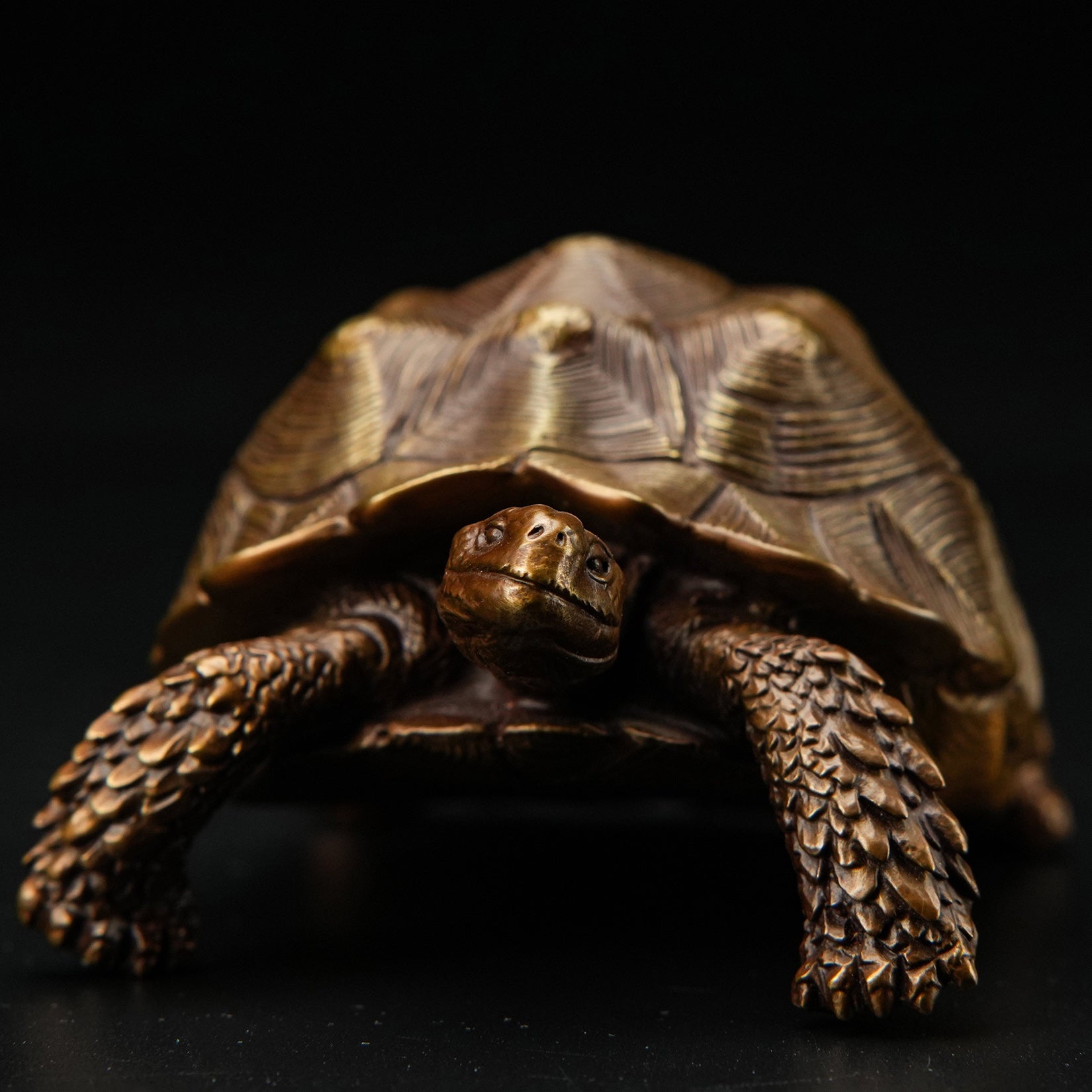 BOWUZHI Studio Sahel Tortoise Bronze Edition Model