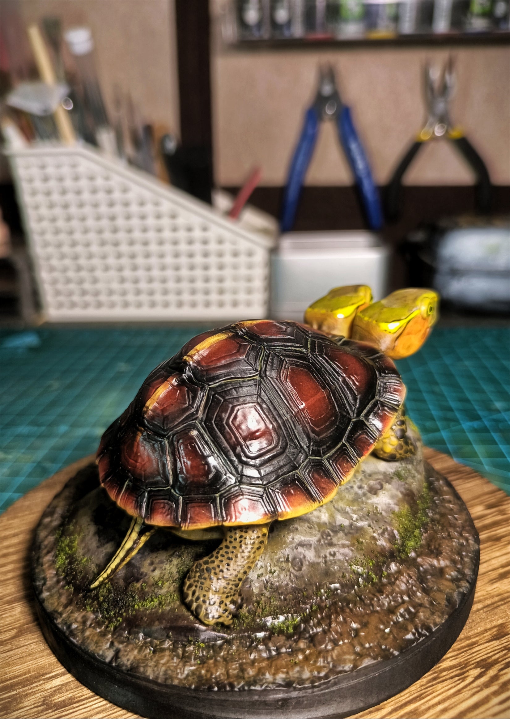 Two-headed Yellow-margined Box Turtle Model